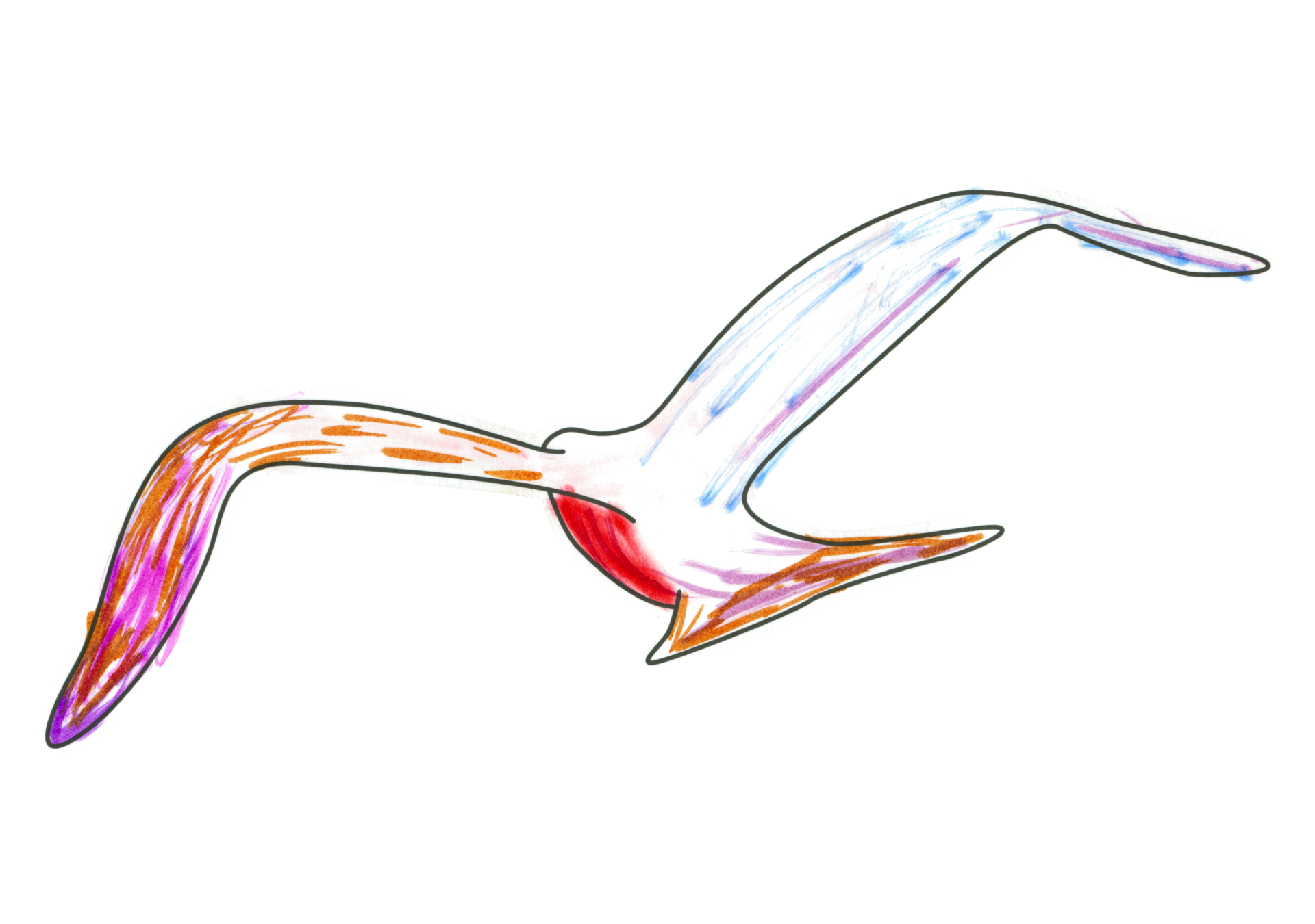 自由飛翔的天氣鳥