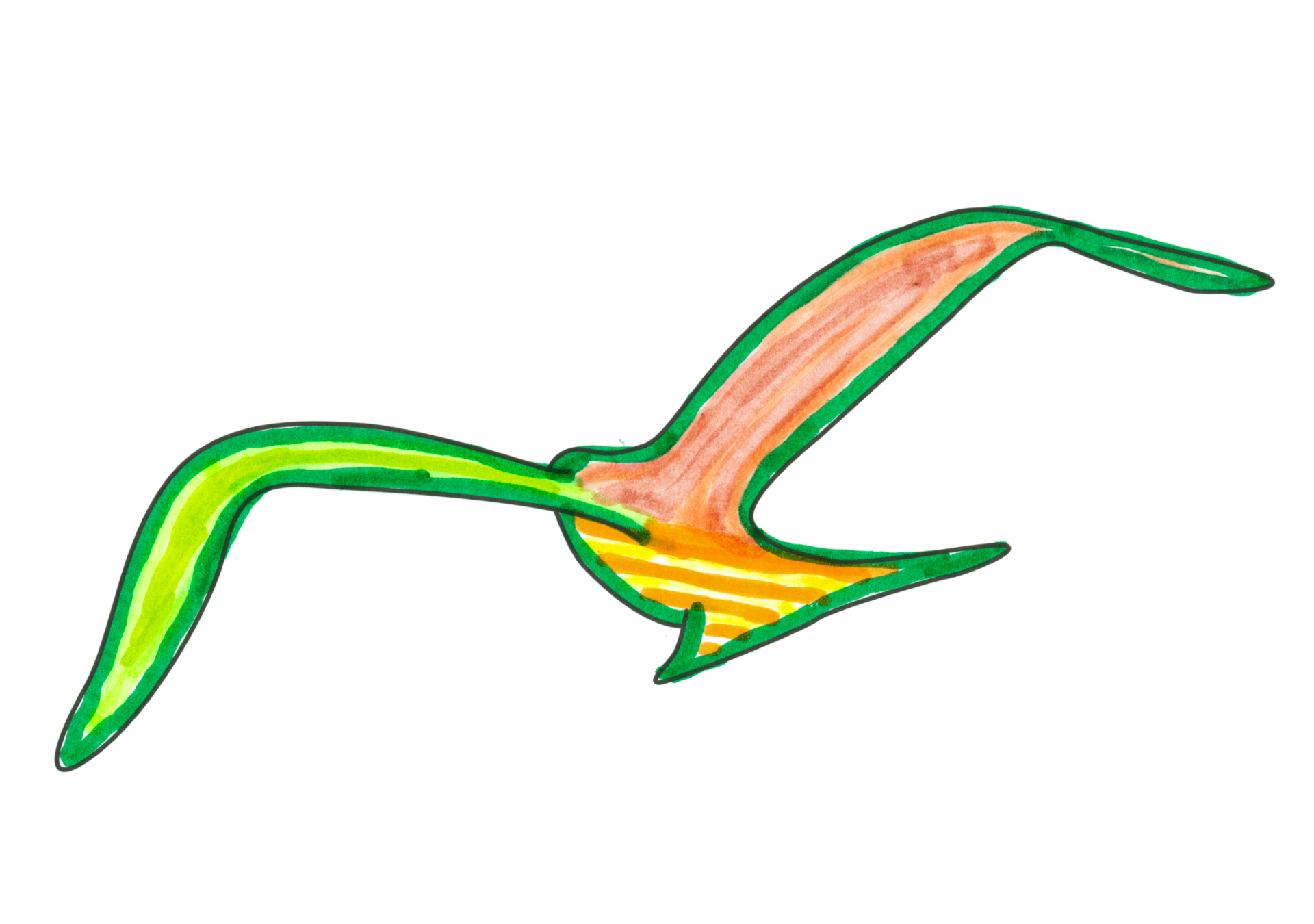 自由飛翔的天氣鳥
