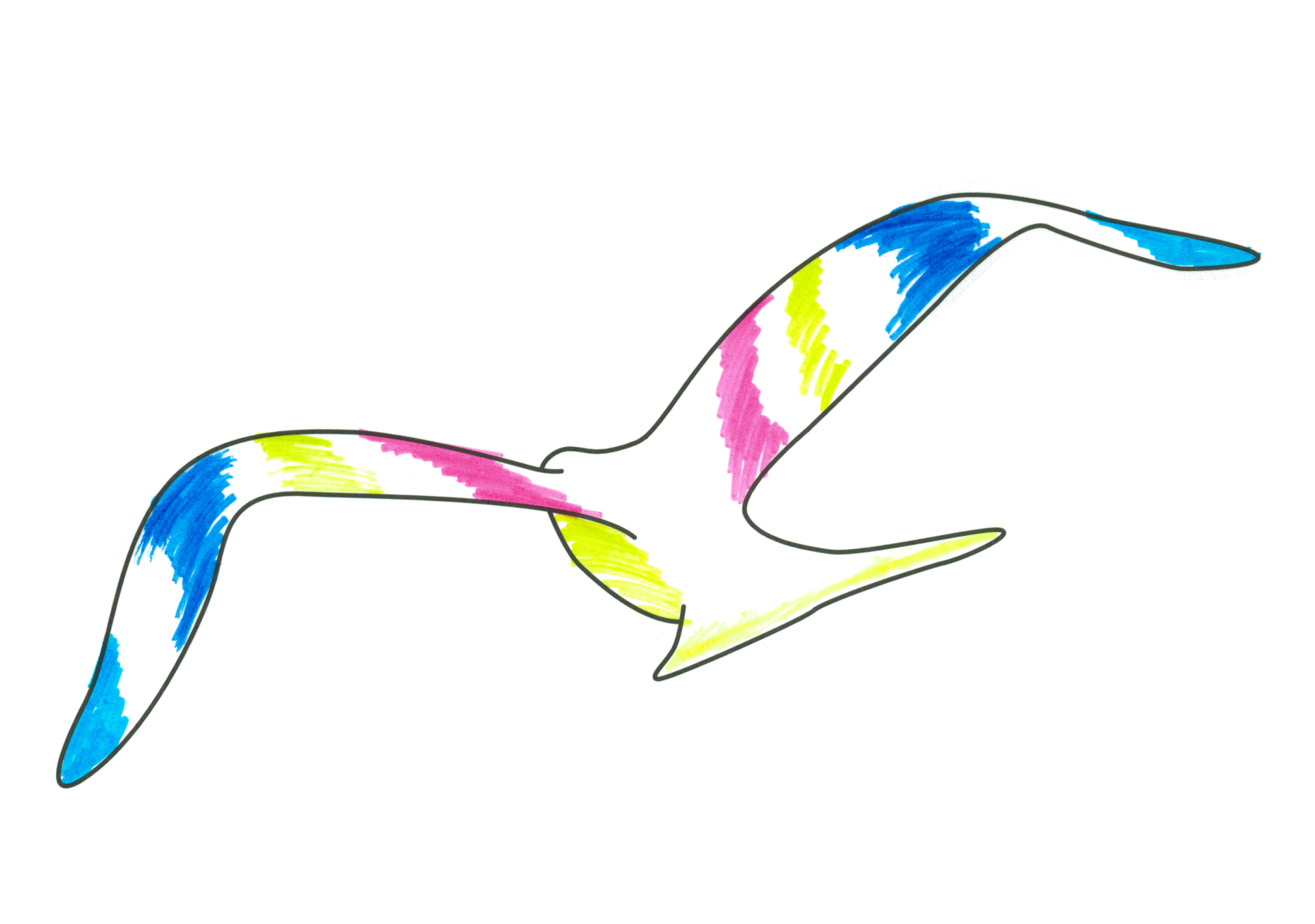 自由飛翔的天氣鳥