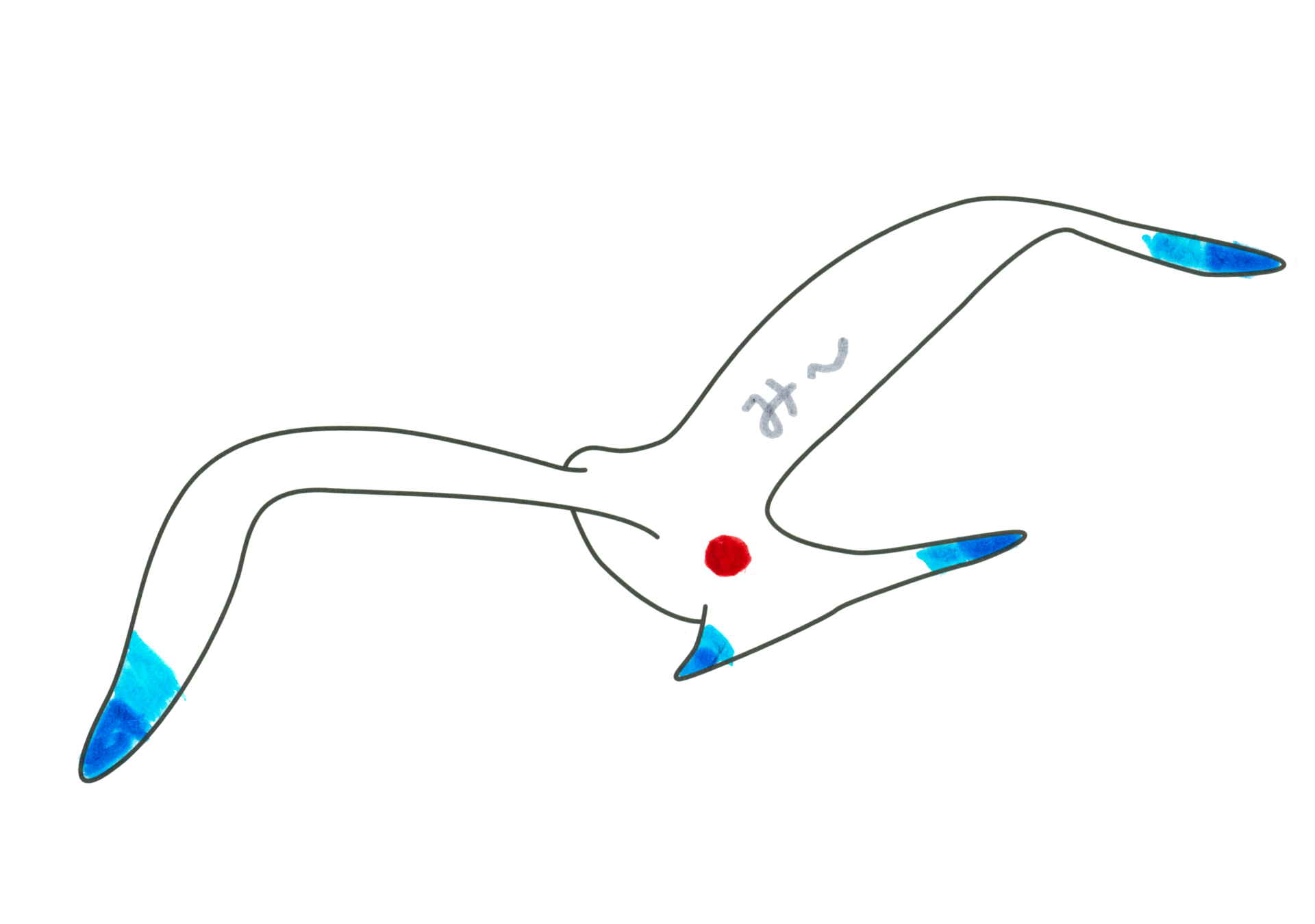 自由飛翔的天氣鳥