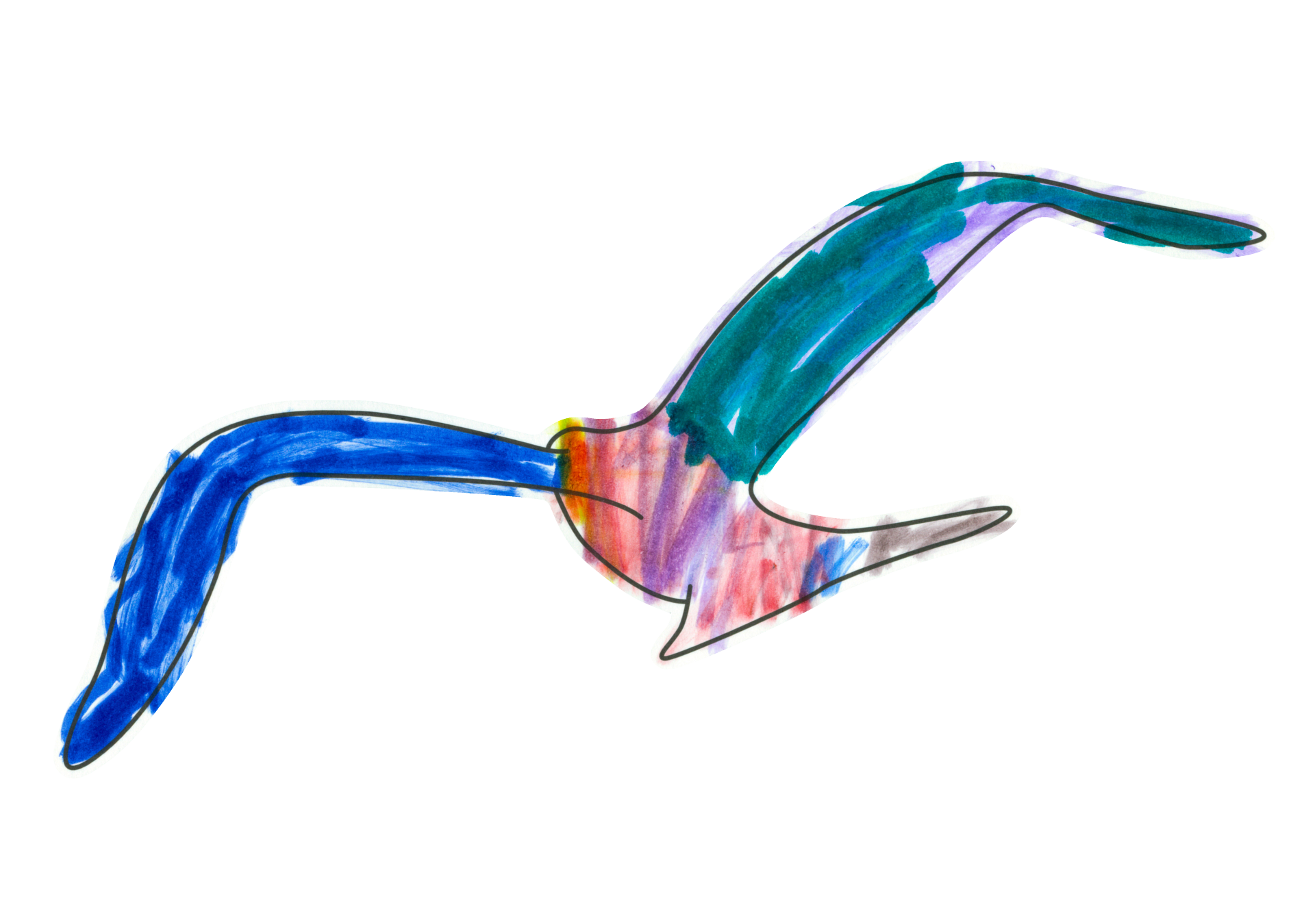 自由飛翔的天氣鳥