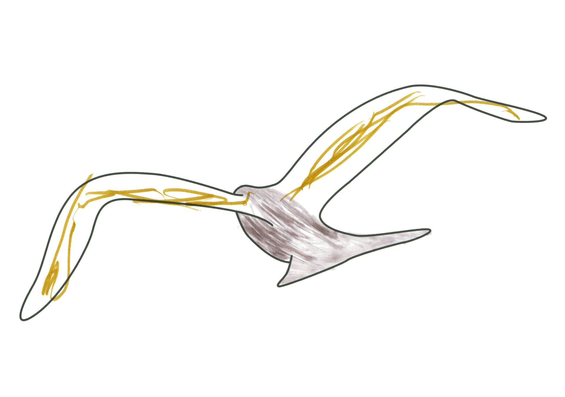 自由飛翔的天氣鳥