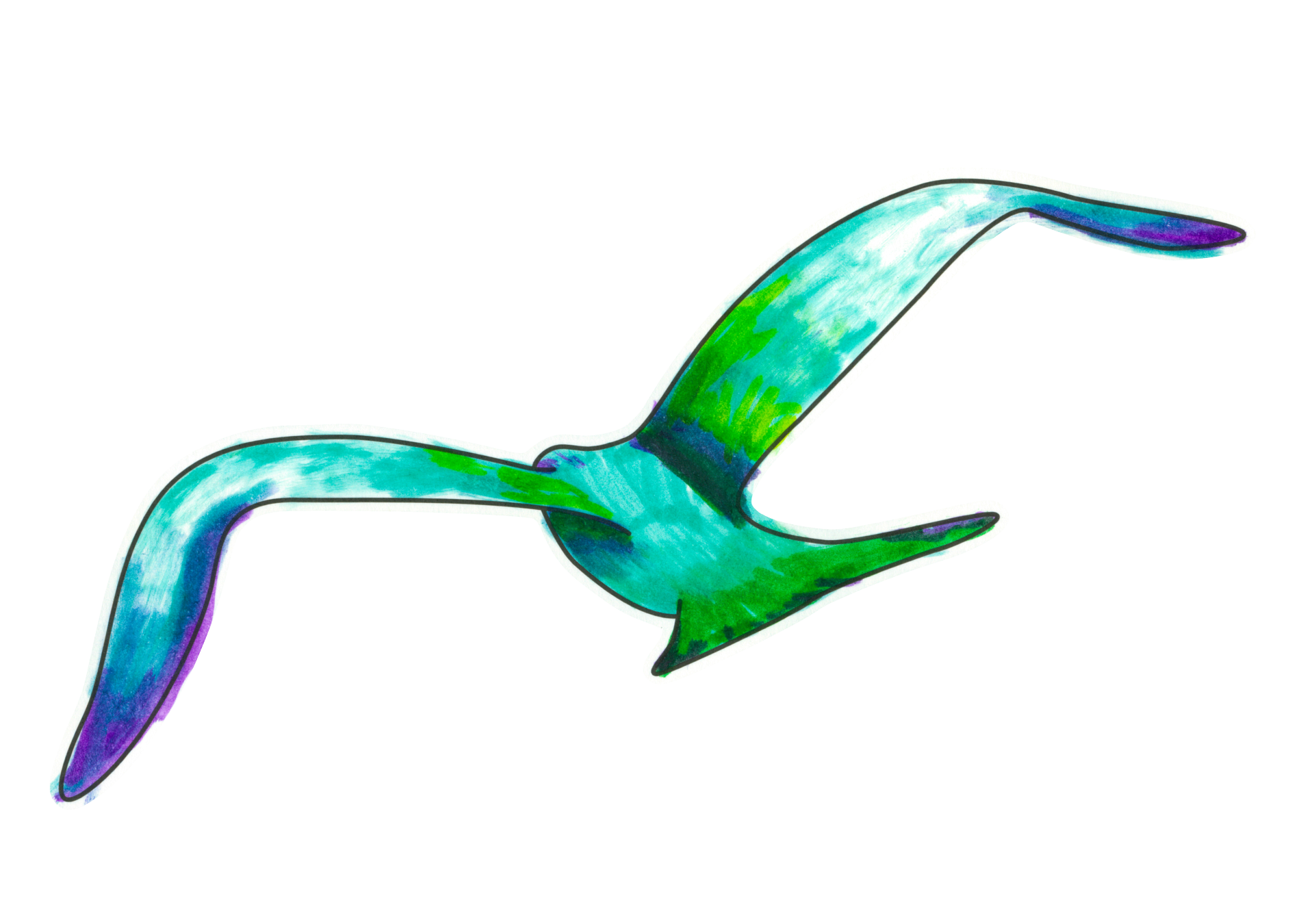 自由飛翔的天氣鳥