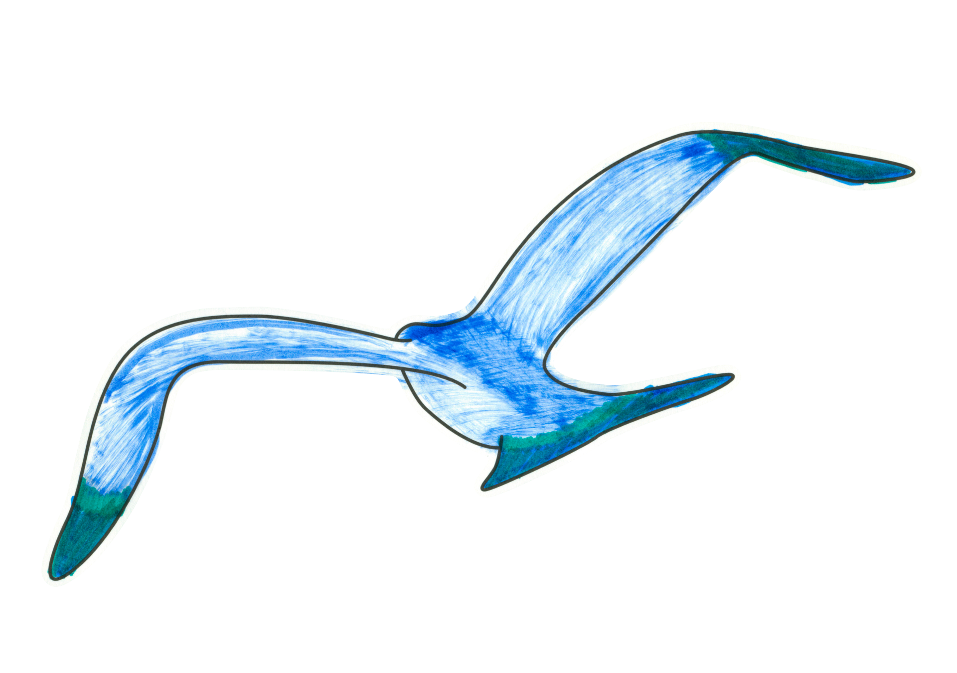 自由飛翔的天氣鳥