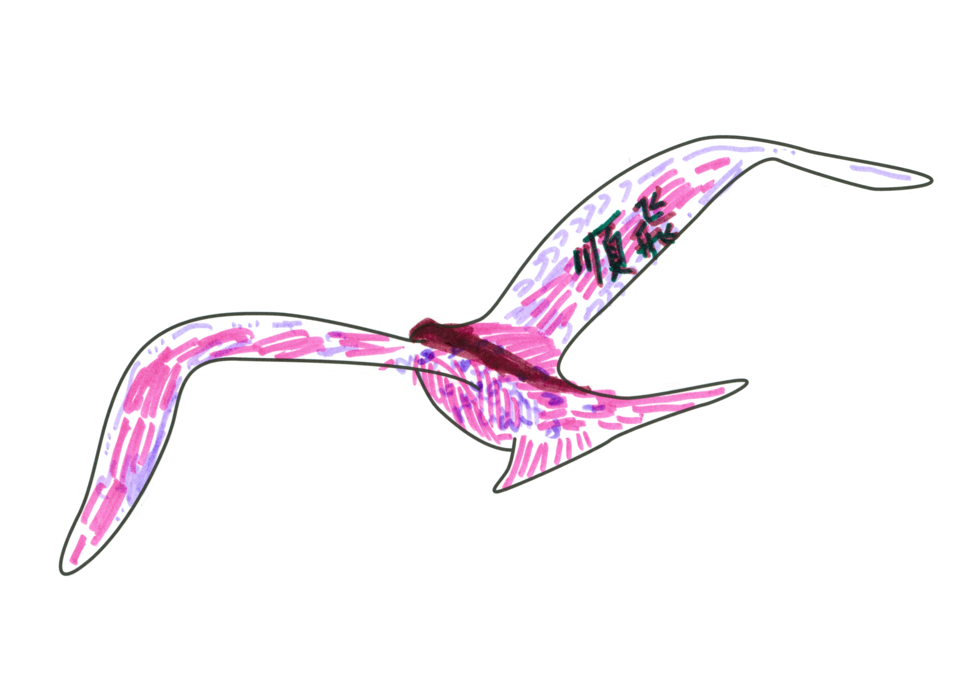 自由飛翔的天氣鳥