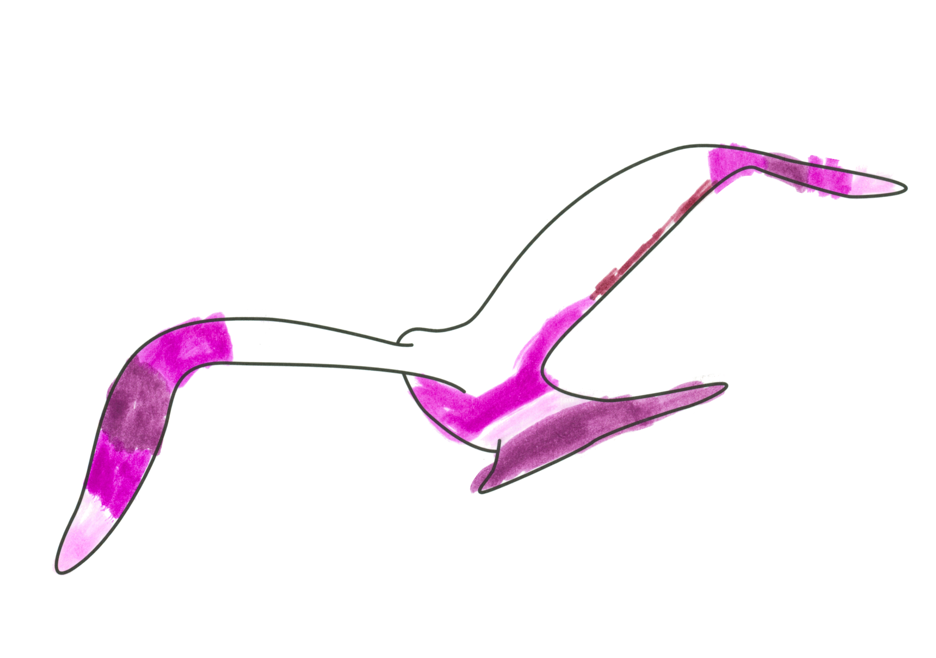 自由飛翔的天氣鳥