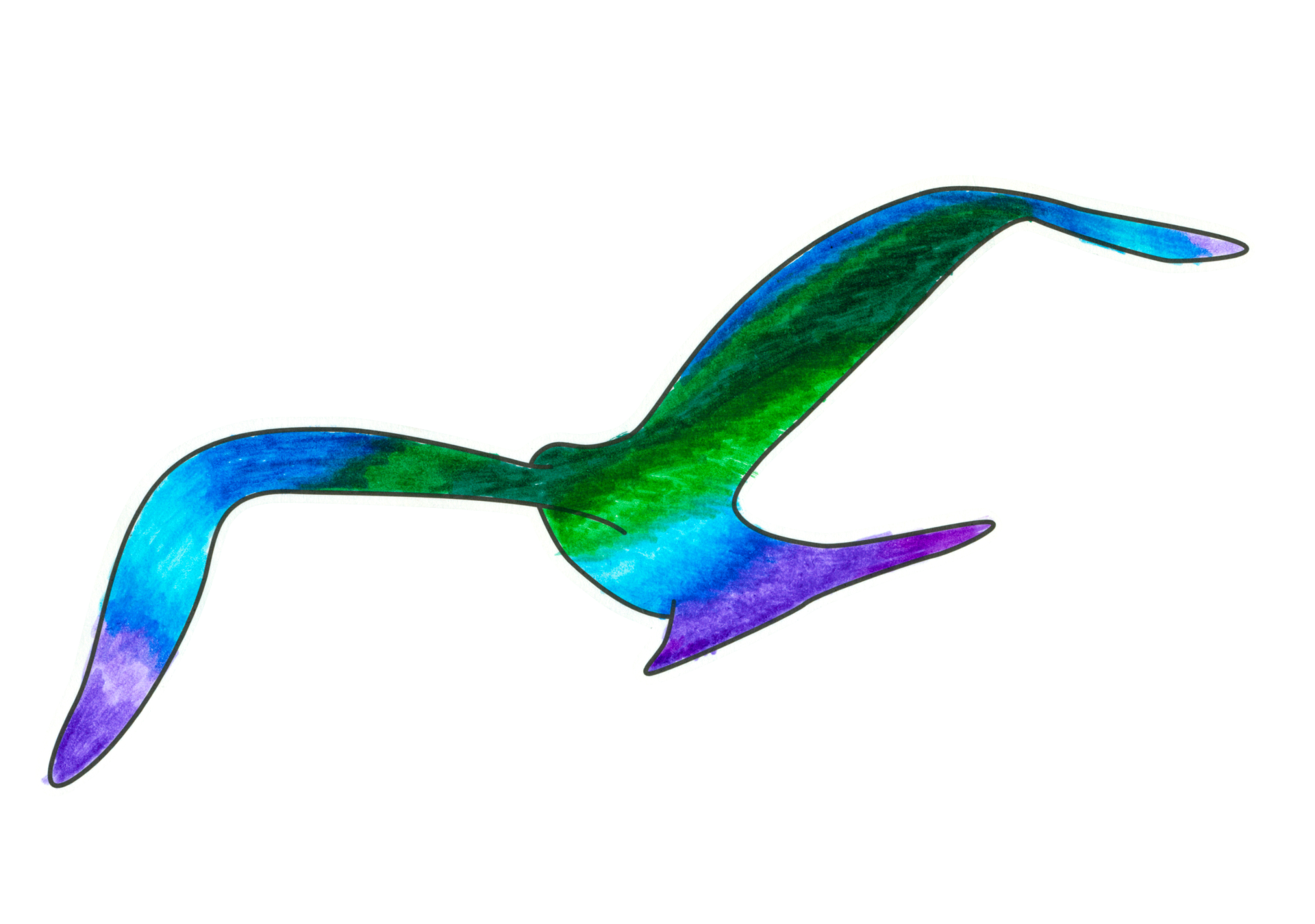 自由飛翔的天氣鳥