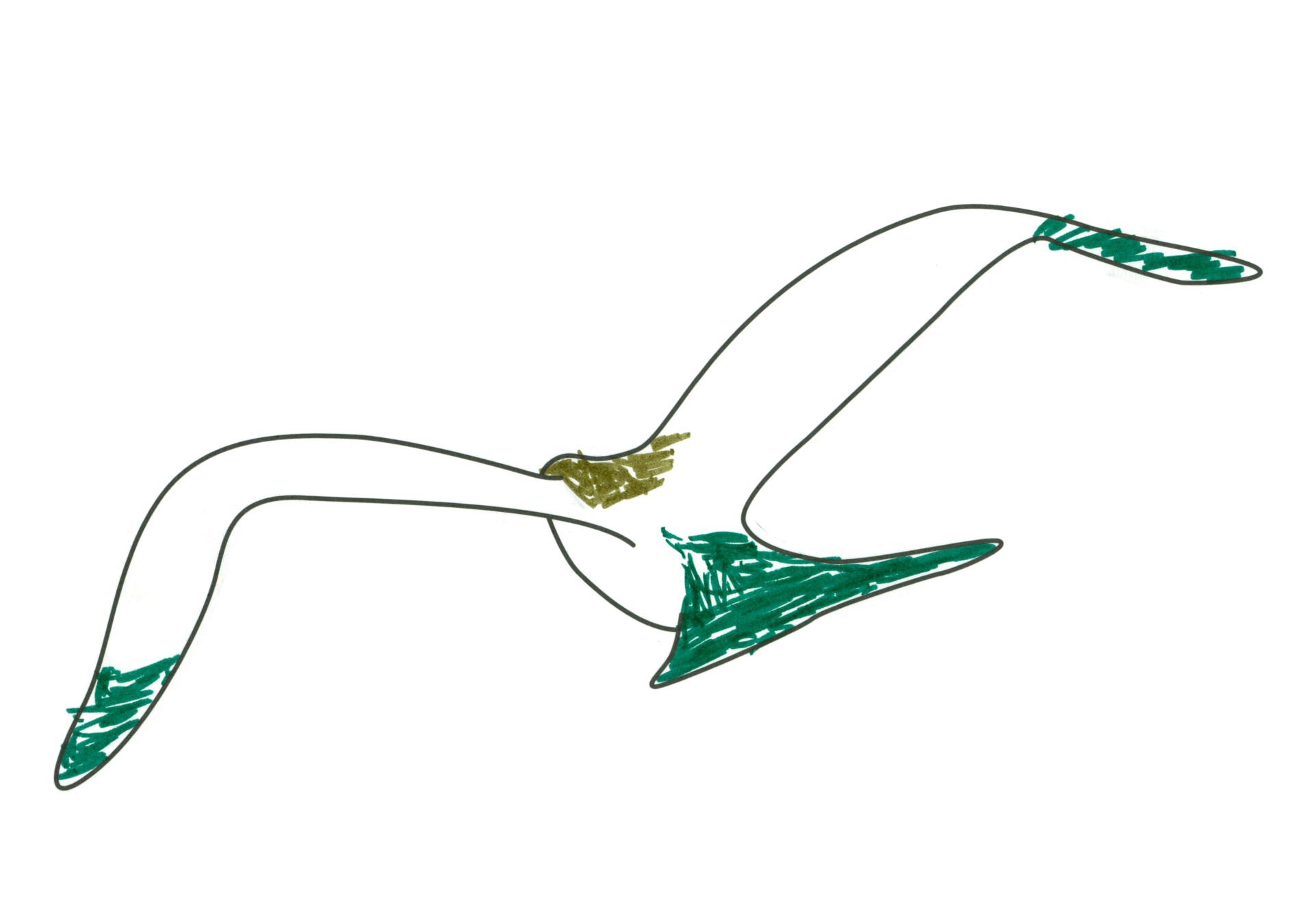 自由飛翔的天氣鳥