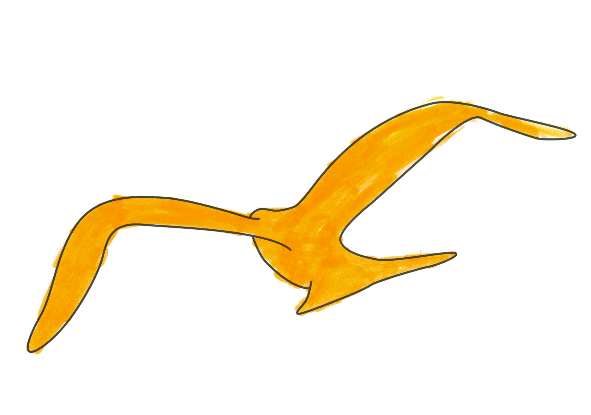 自由飛翔的天氣鳥