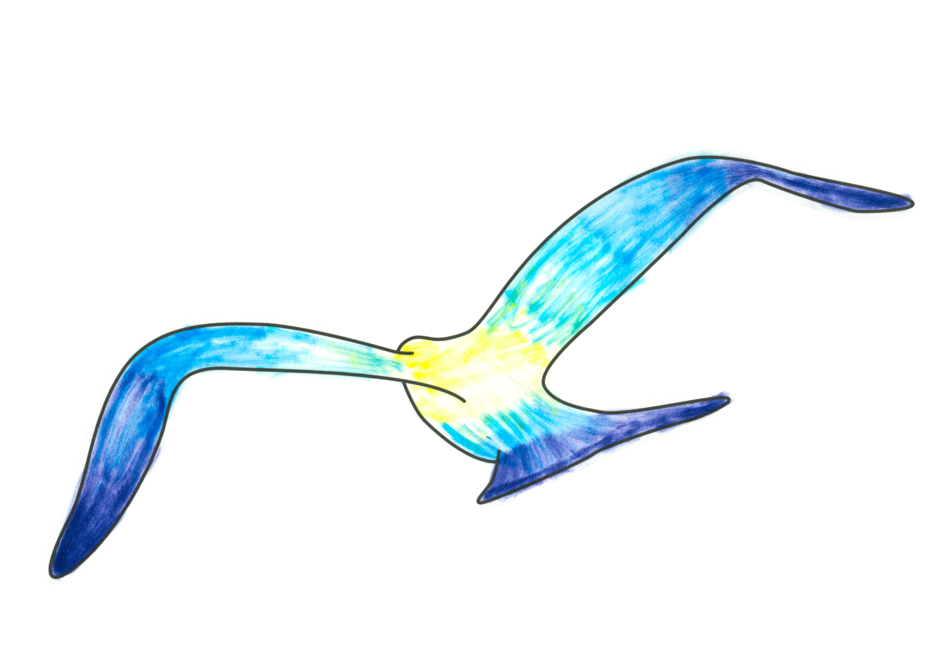 自由飛翔的天氣鳥