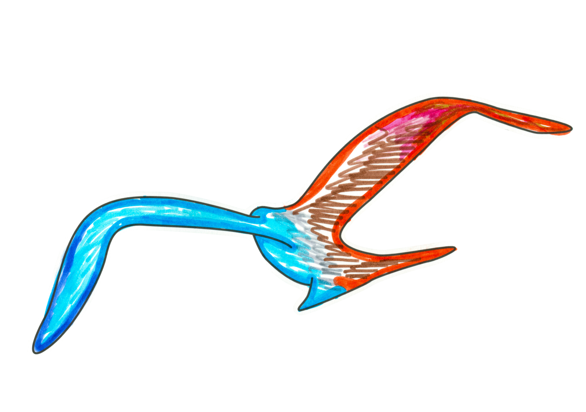 自由飛翔的天氣鳥