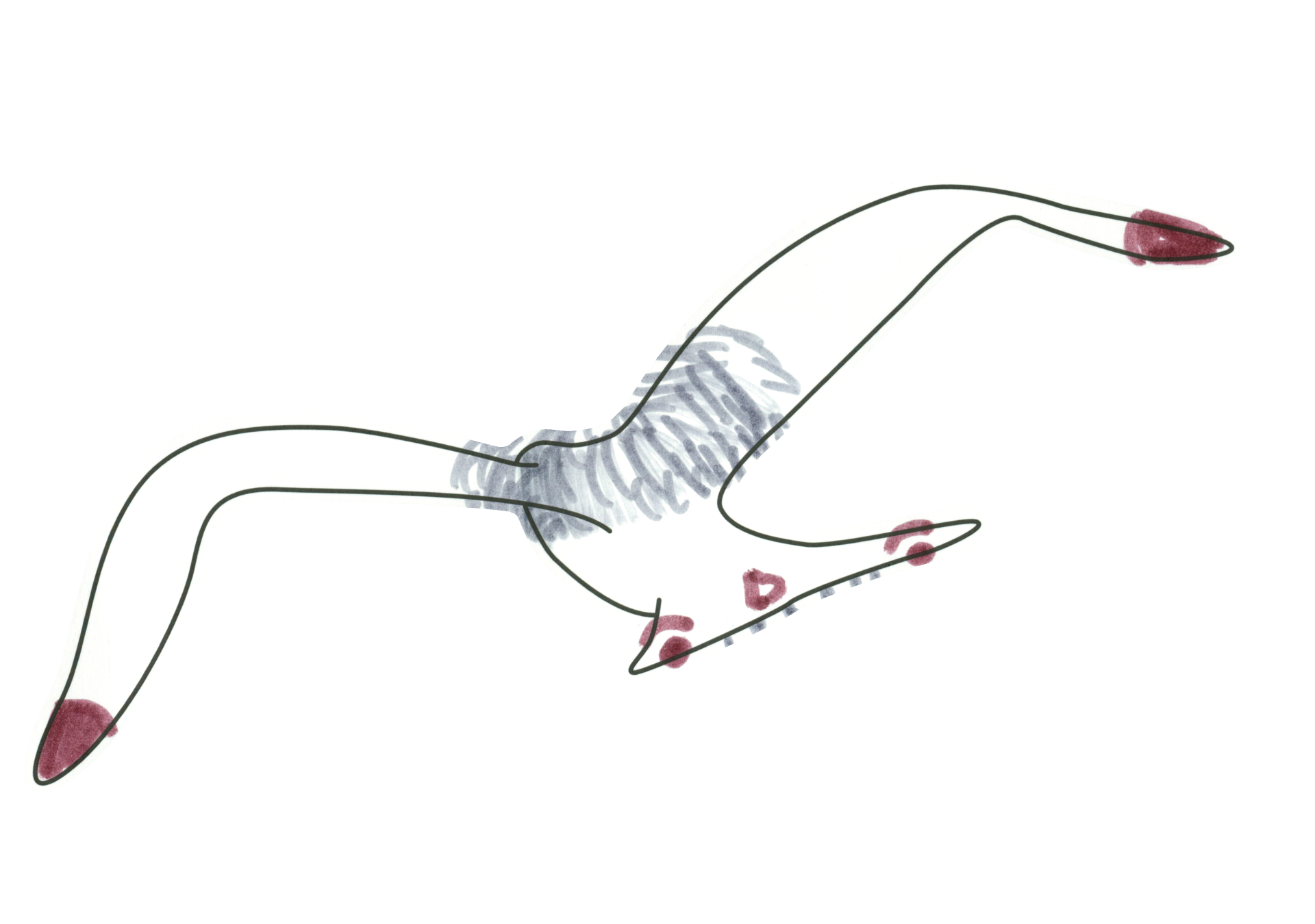 自由飛翔的天氣鳥