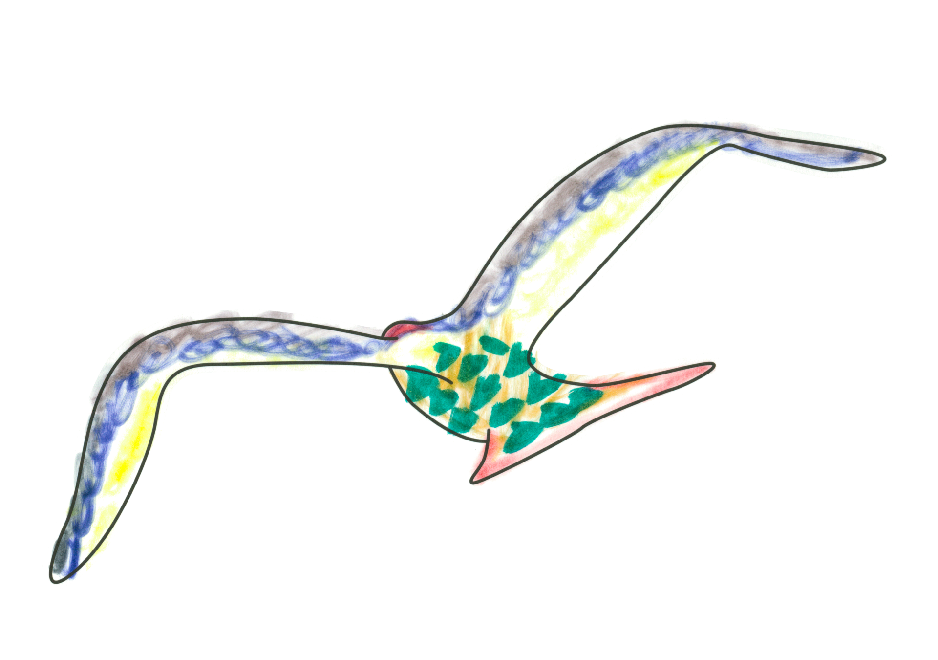 自由飛翔的天氣鳥