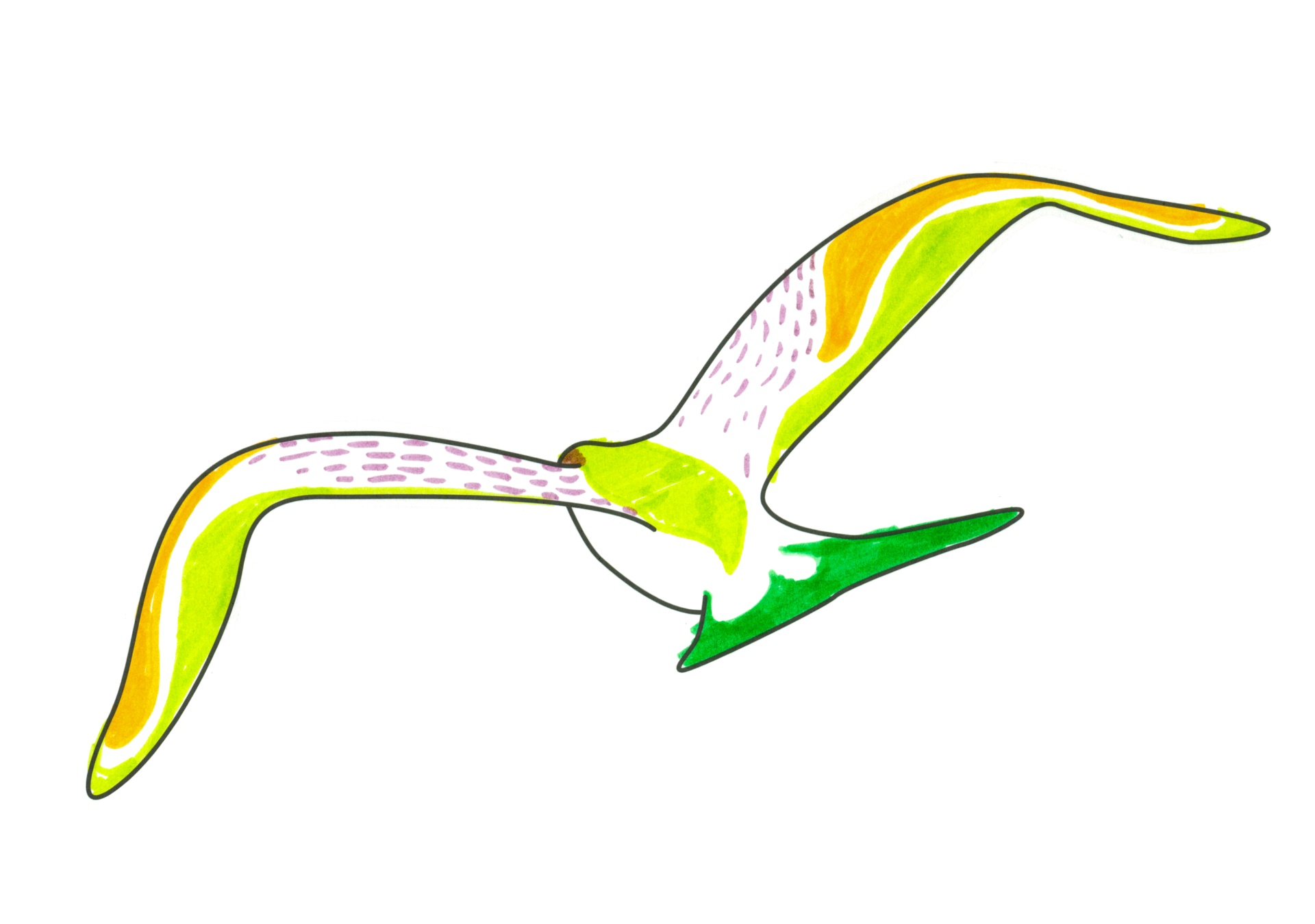 自由飛翔的天氣鳥