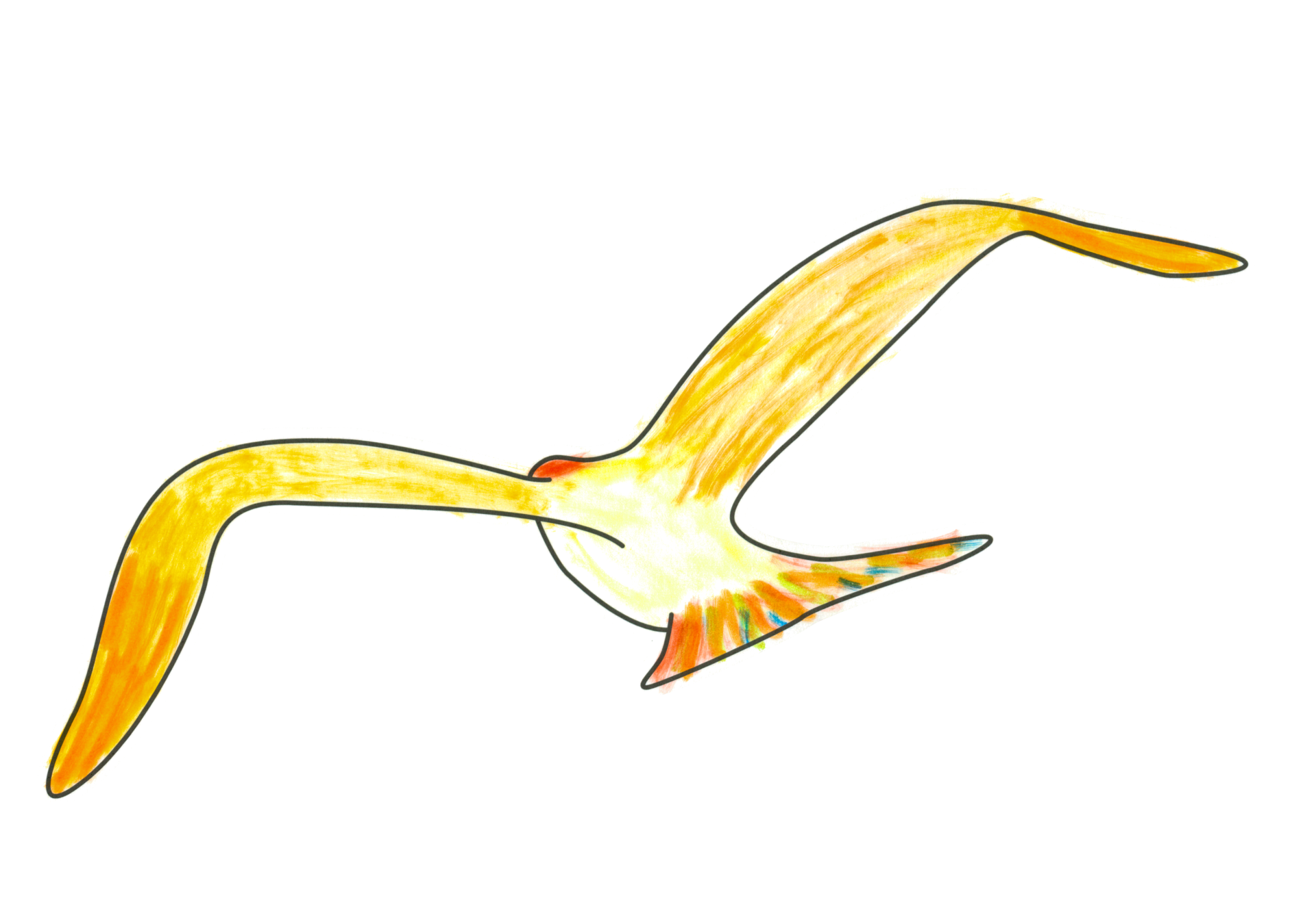 自由飛翔的天氣鳥