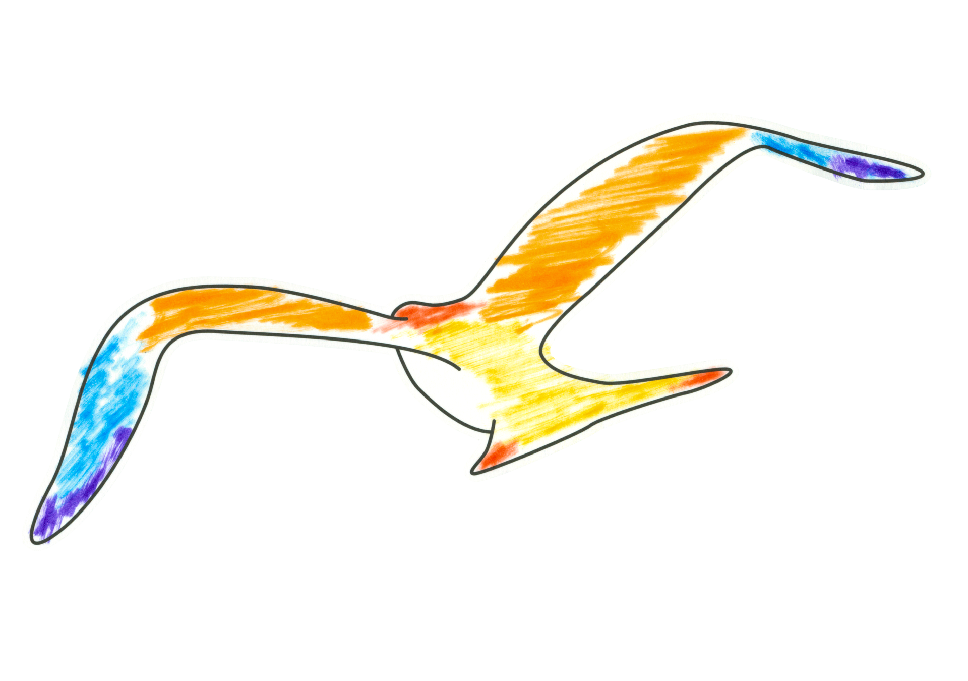 自由飛翔的天氣鳥