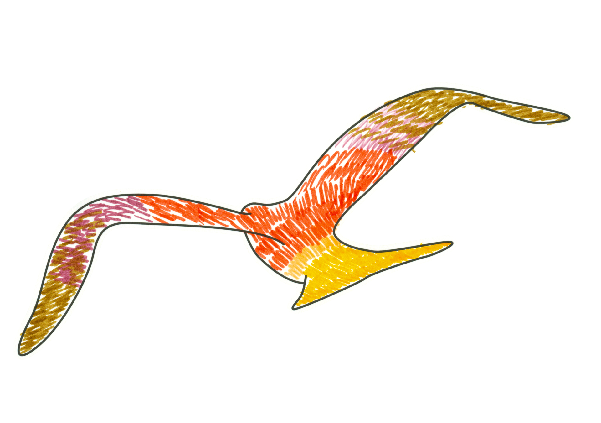 自由飛翔的天氣鳥