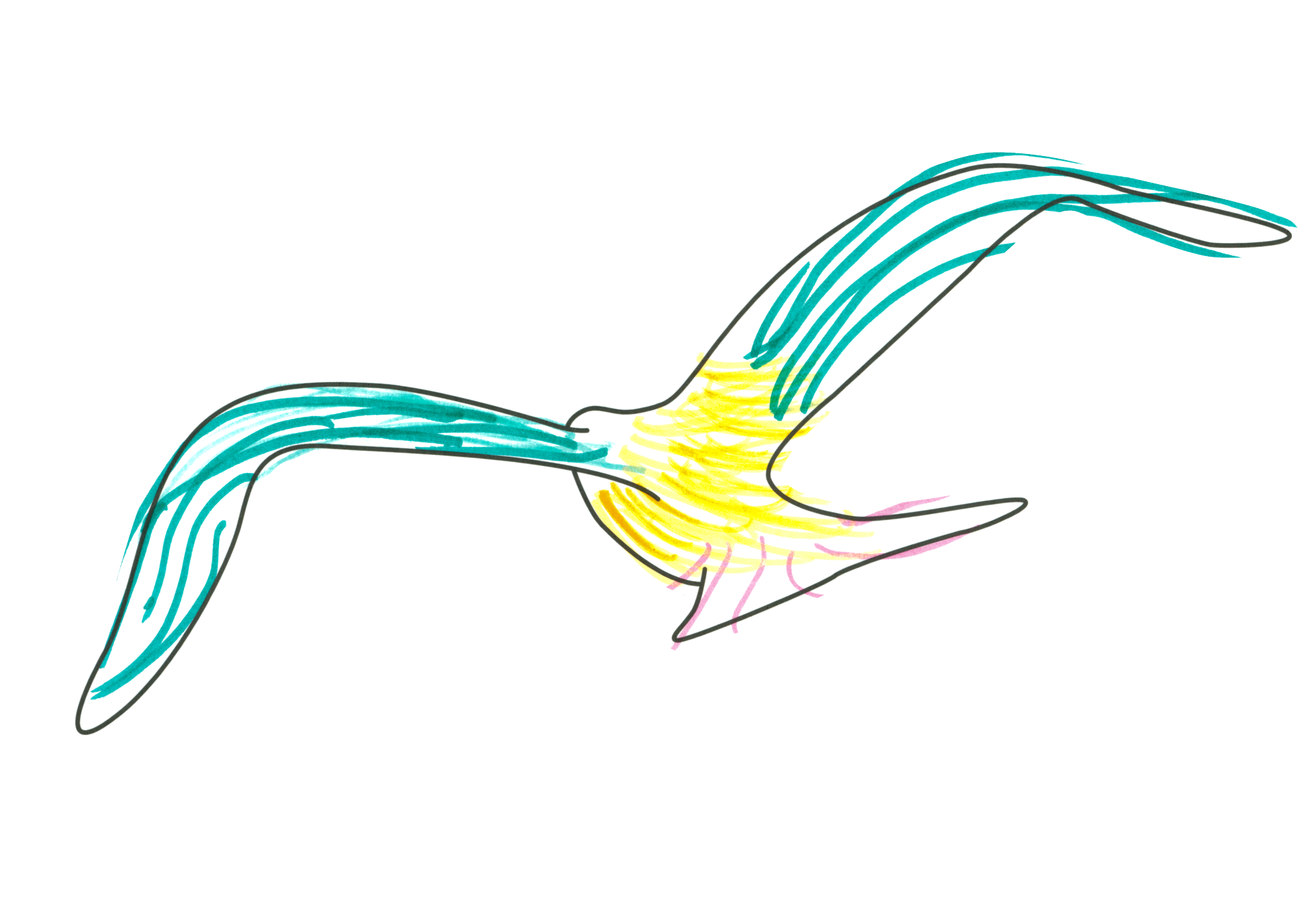自由飛翔的天氣鳥