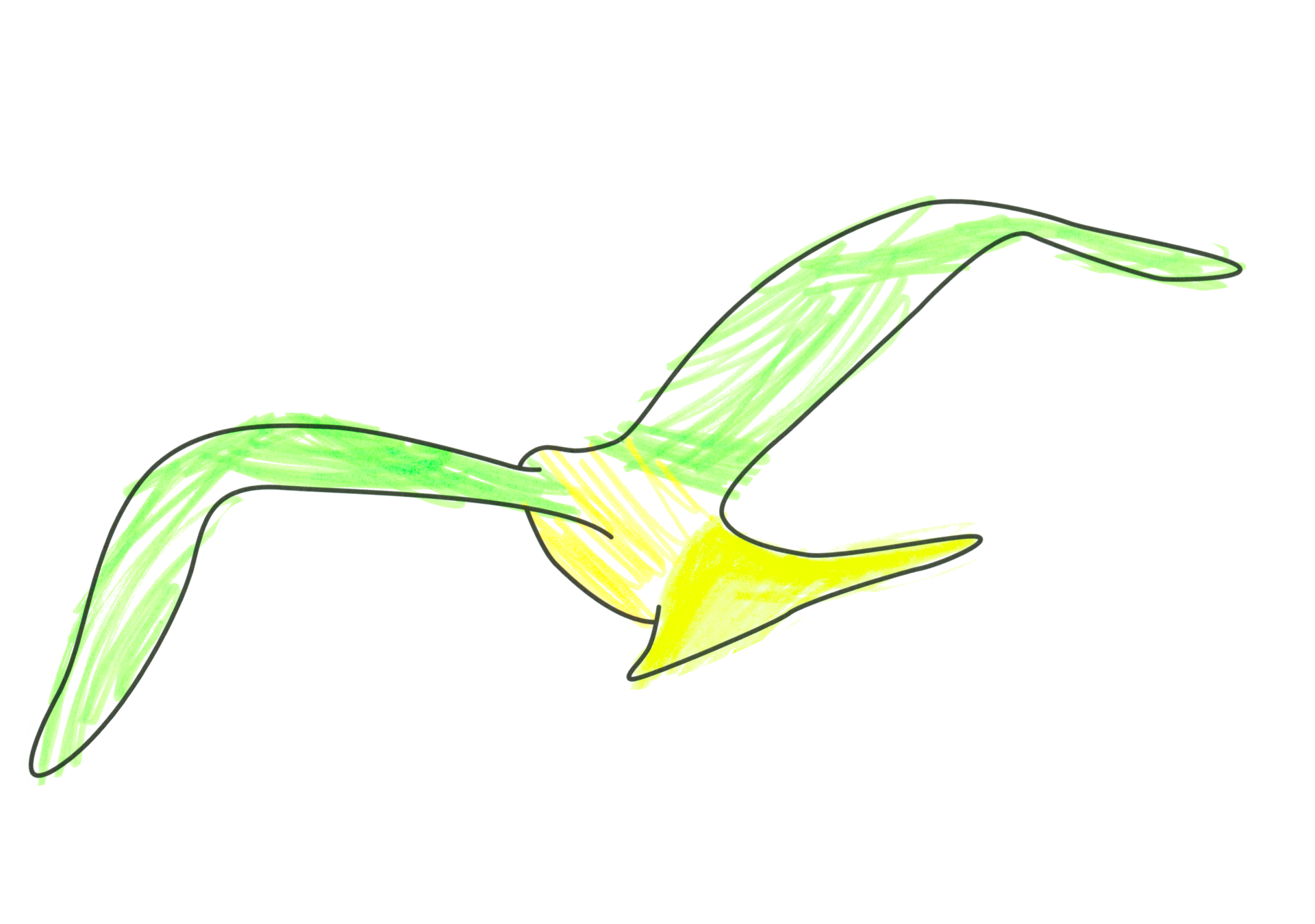 自由飛翔的天氣鳥