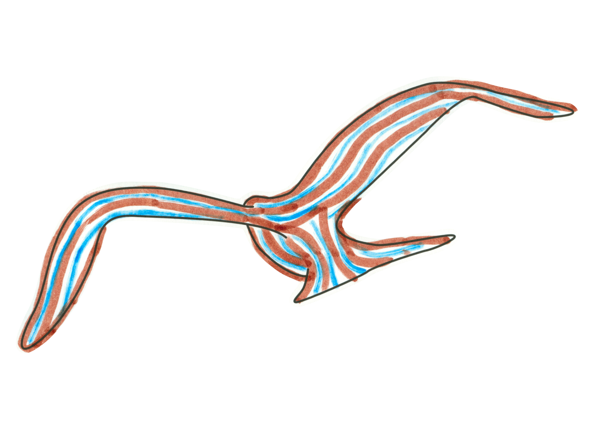 10738 ZEBRA