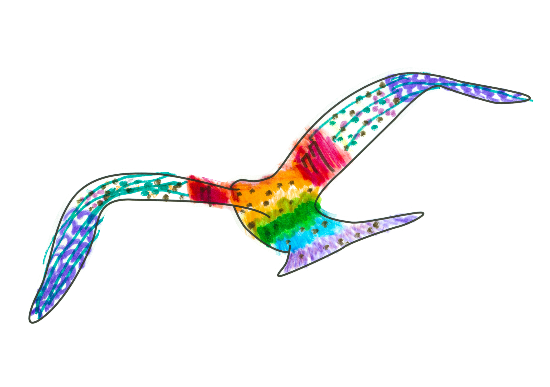 自由飛翔的天氣鳥