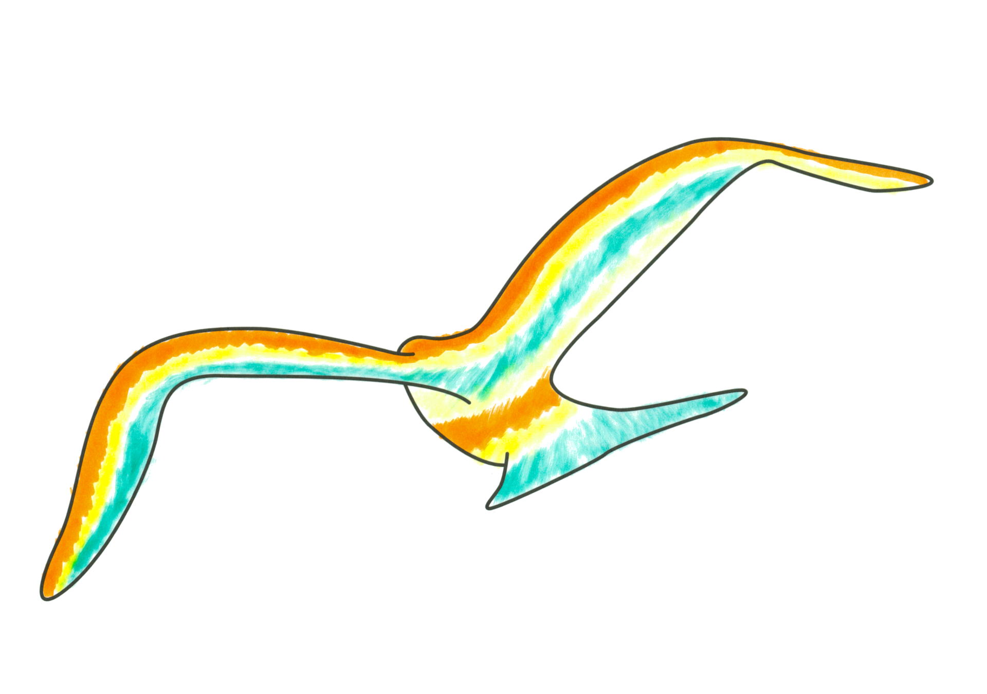 自由飛翔的天氣鳥