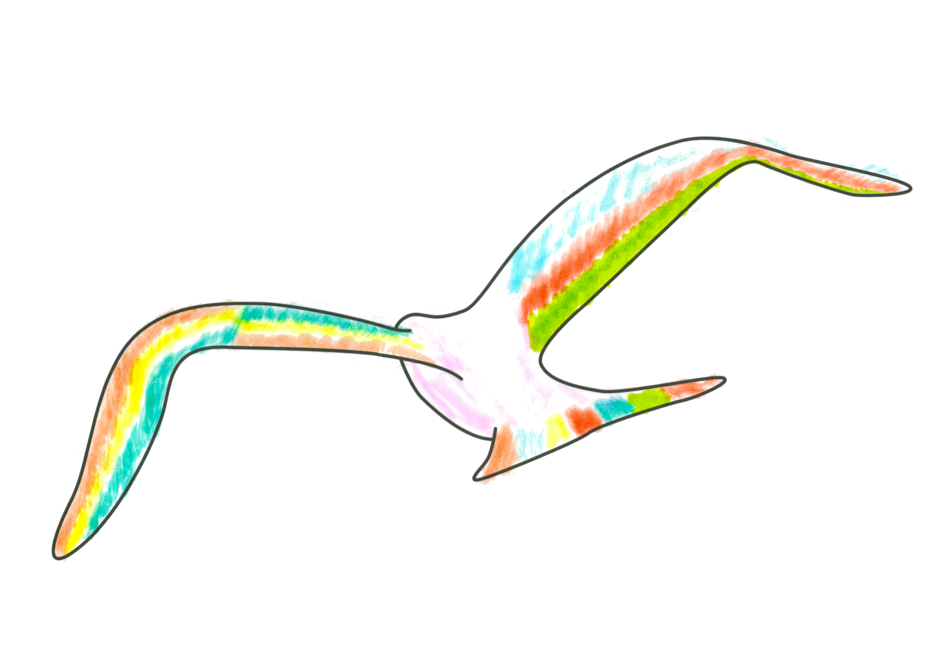 自由飛翔的天氣鳥