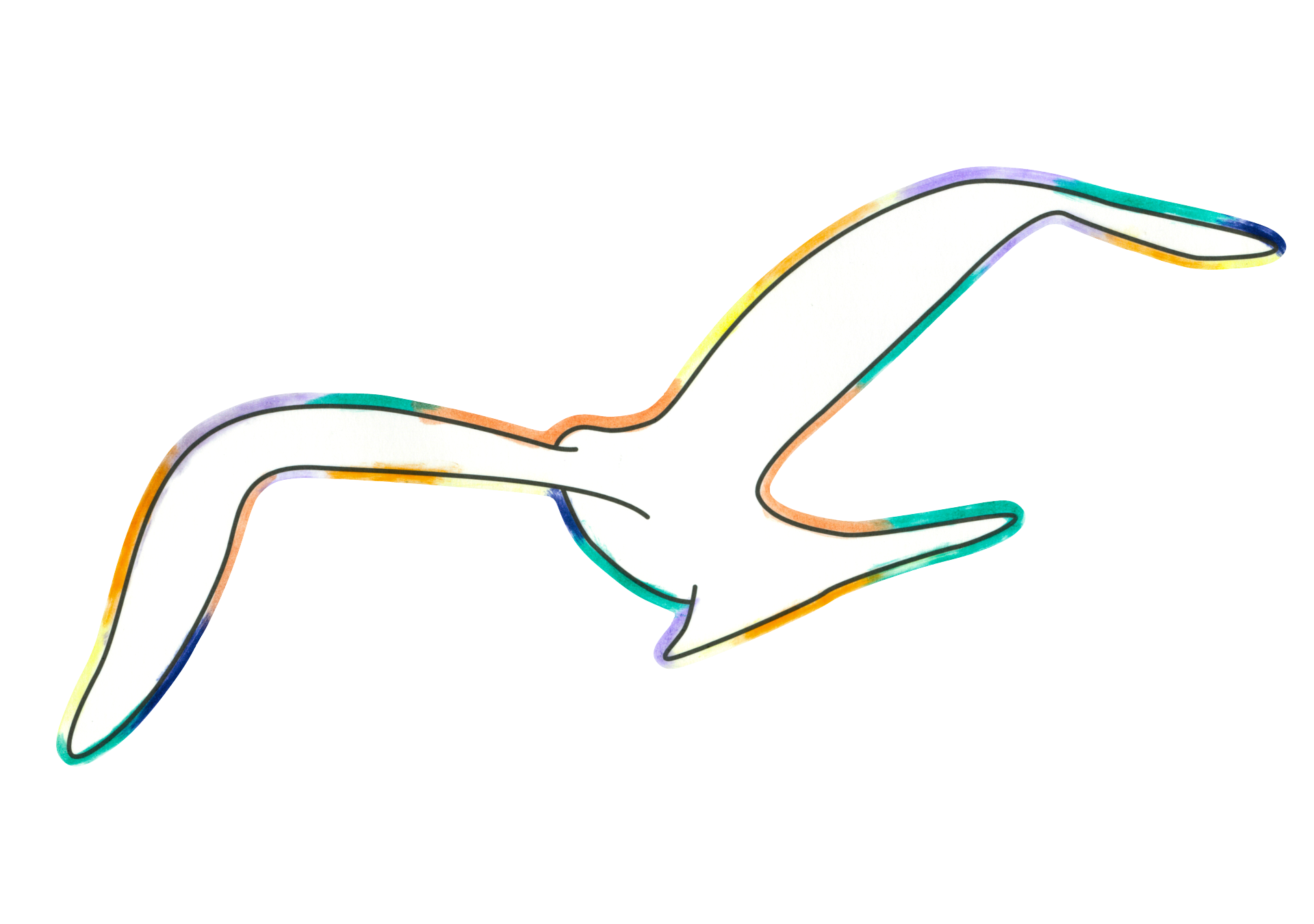 自由飛翔的天氣鳥