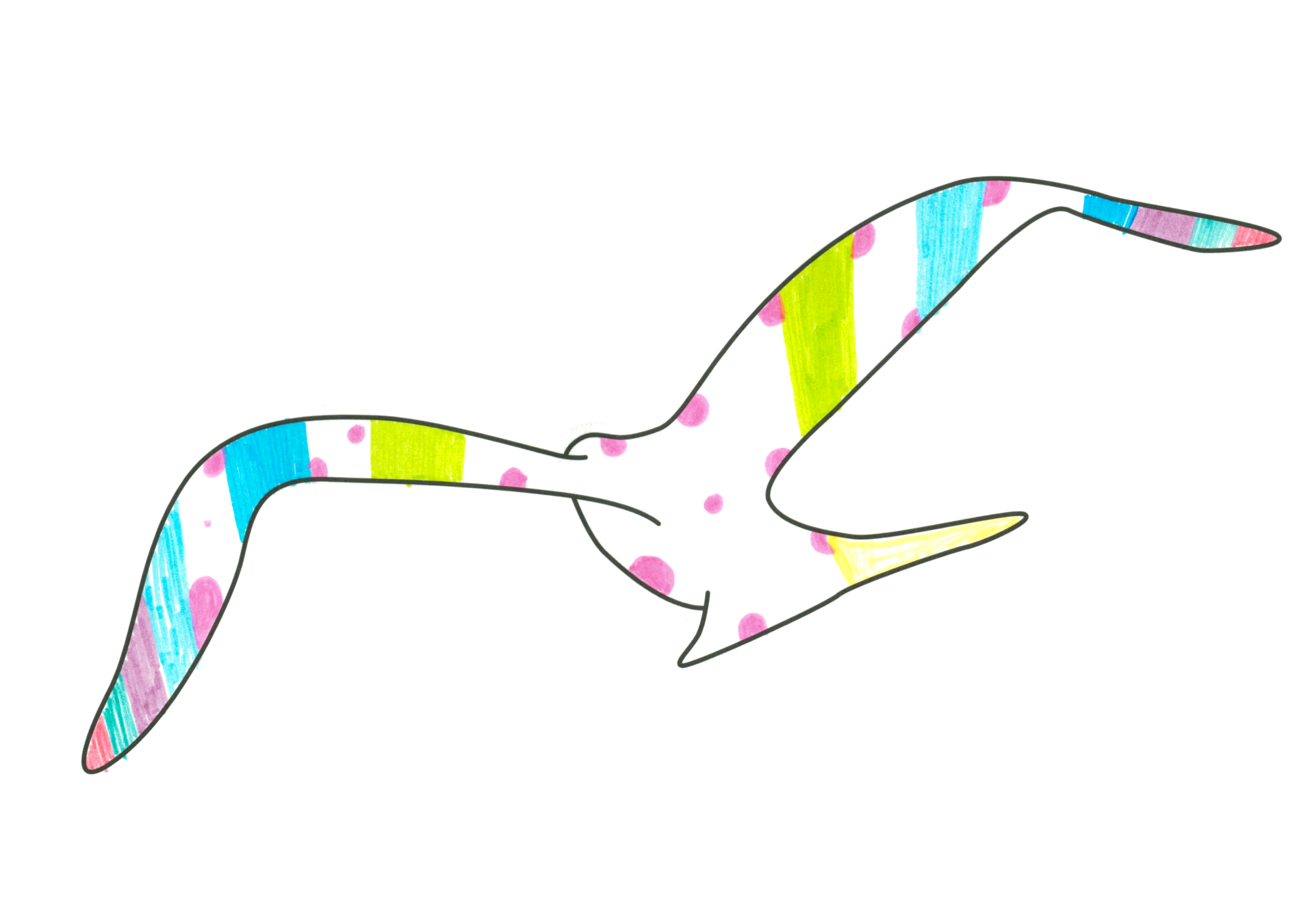 自由飛翔的天氣鳥