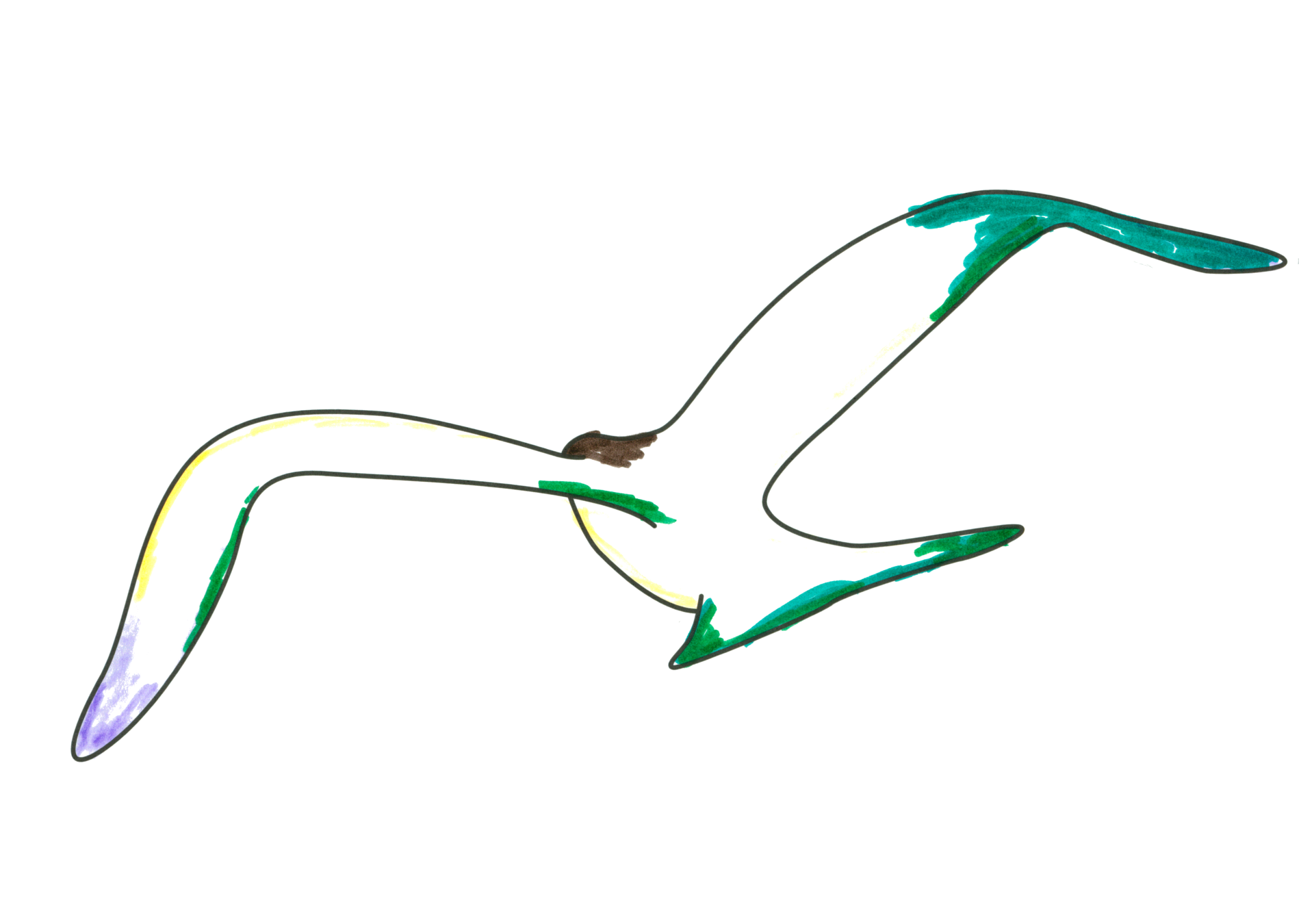 自由飛翔的天氣鳥