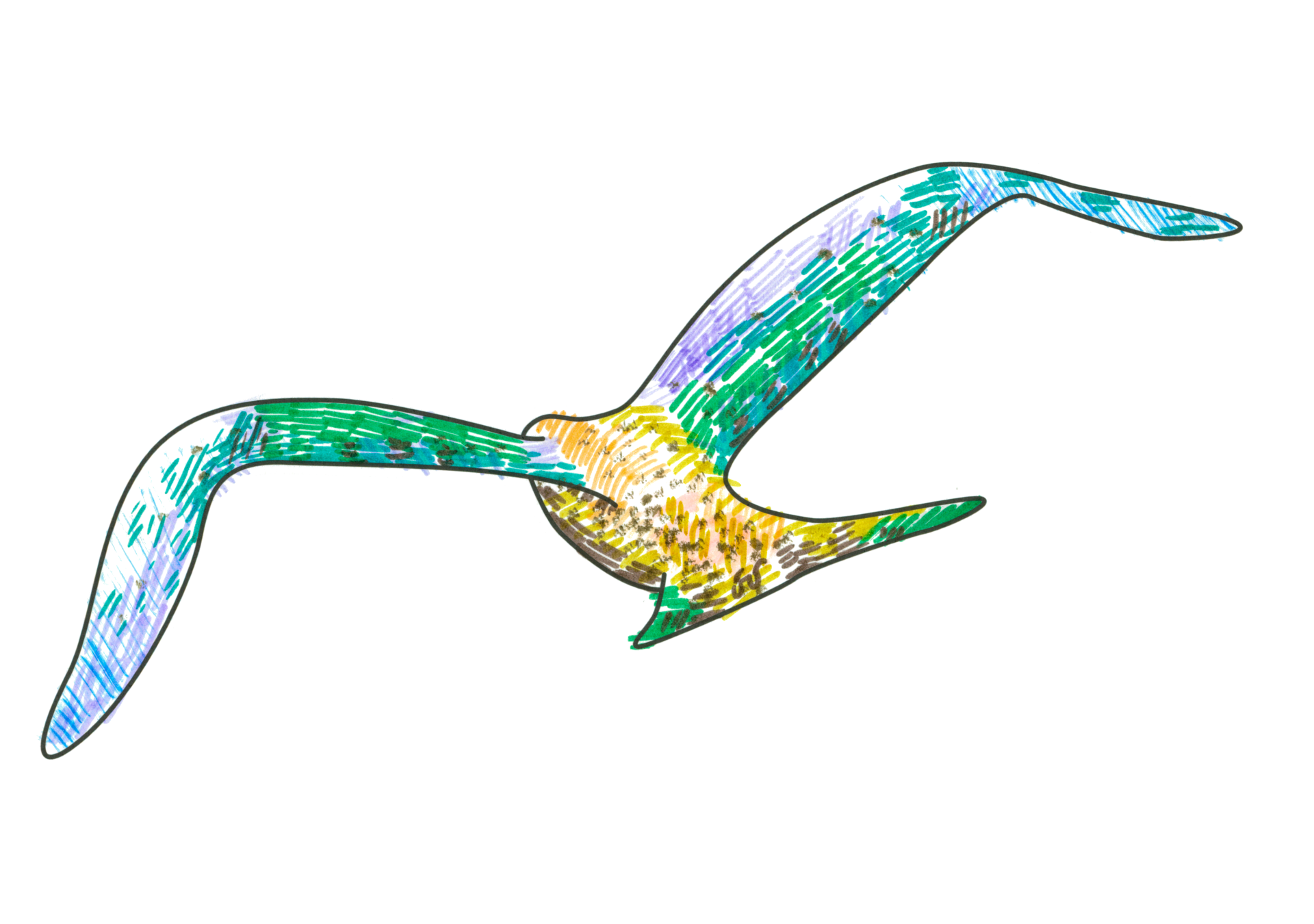 自由飛翔的天氣鳥