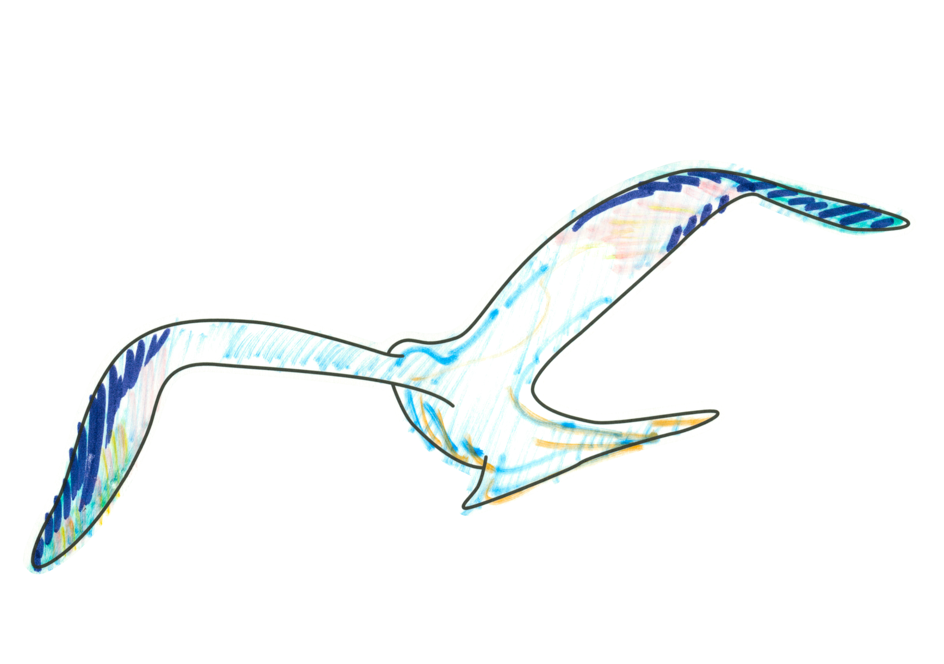 自由飛翔的天氣鳥