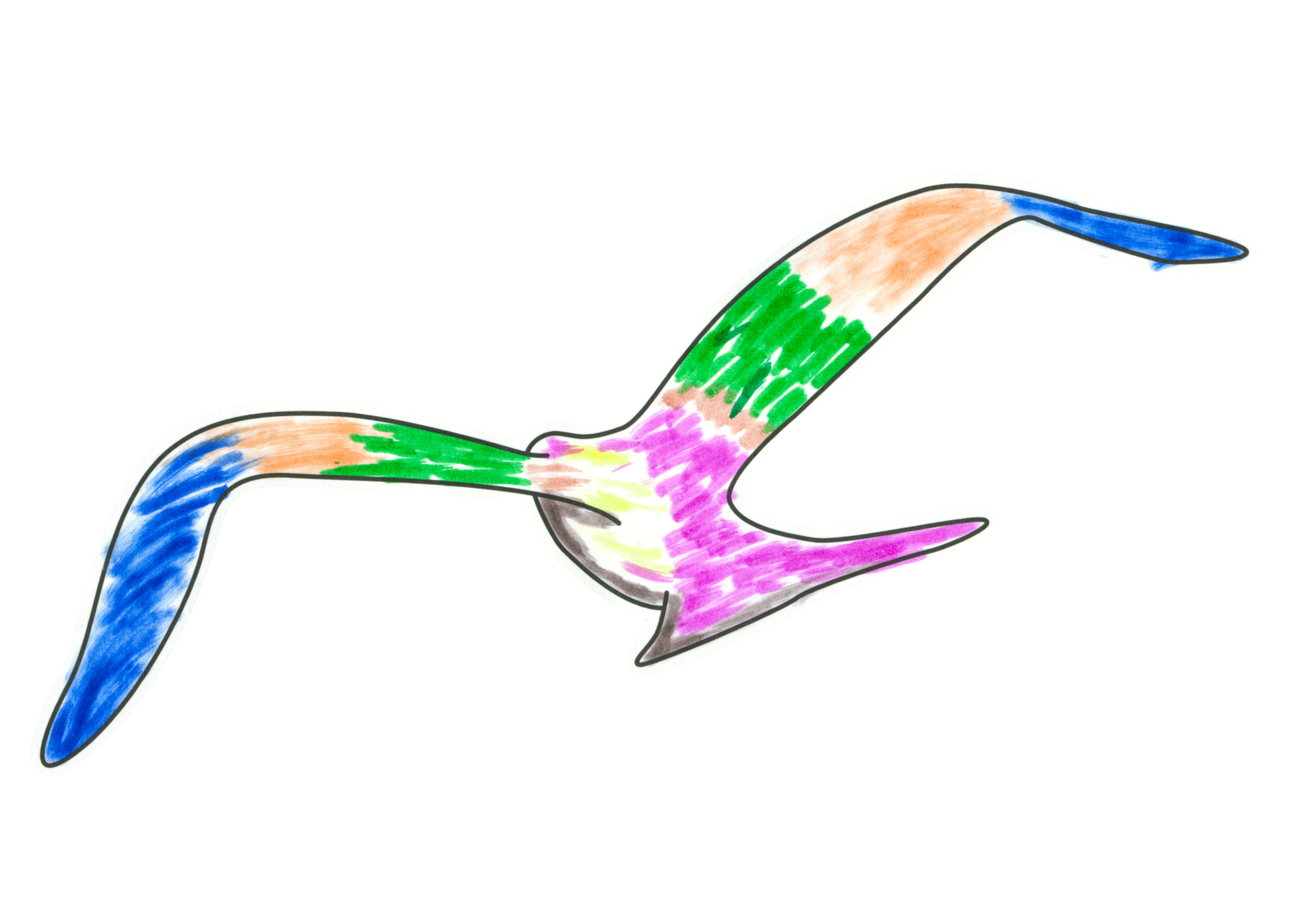 自由飛翔的天氣鳥
