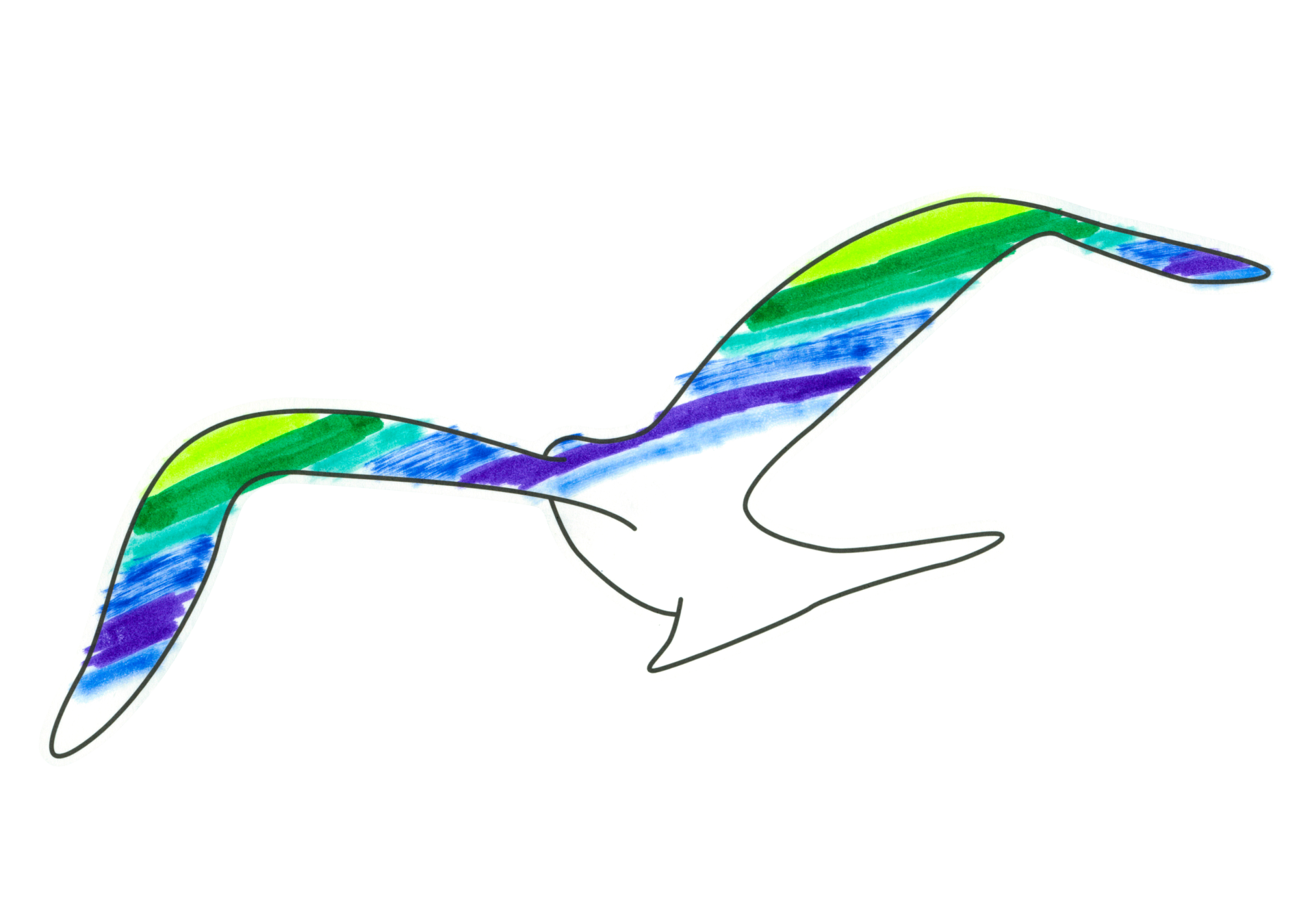 自由飛翔的天氣鳥