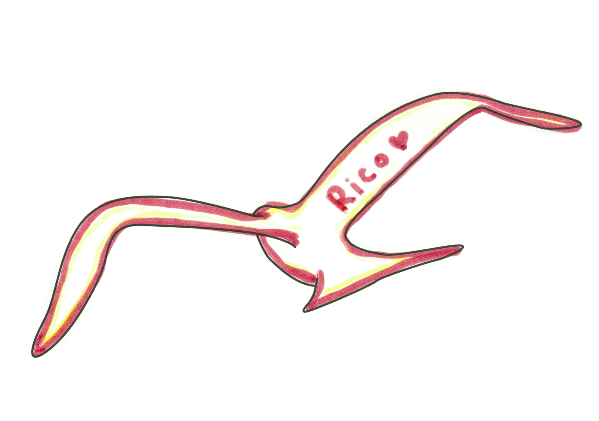自由飛翔的天氣鳥