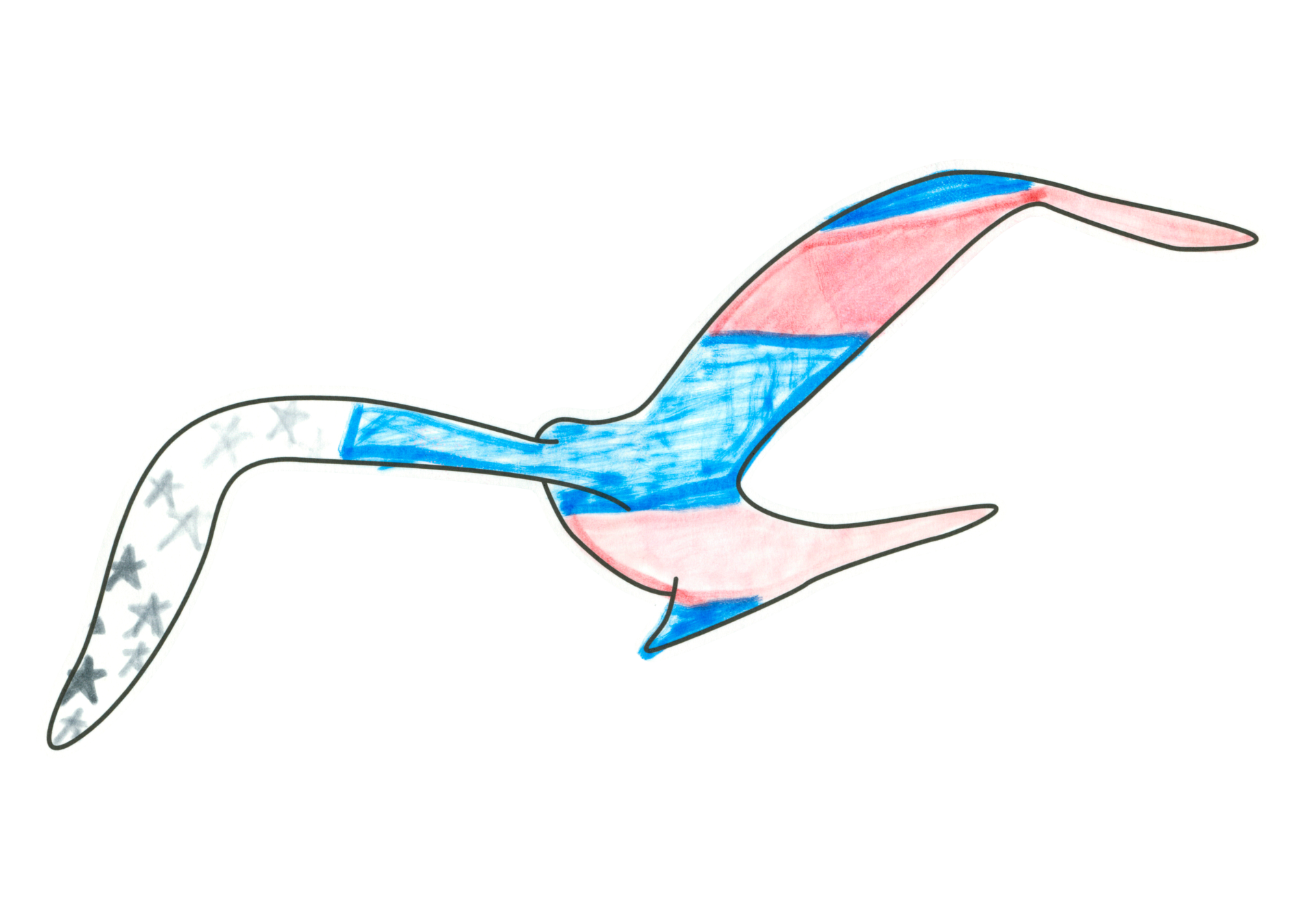 自由飛翔的天氣鳥