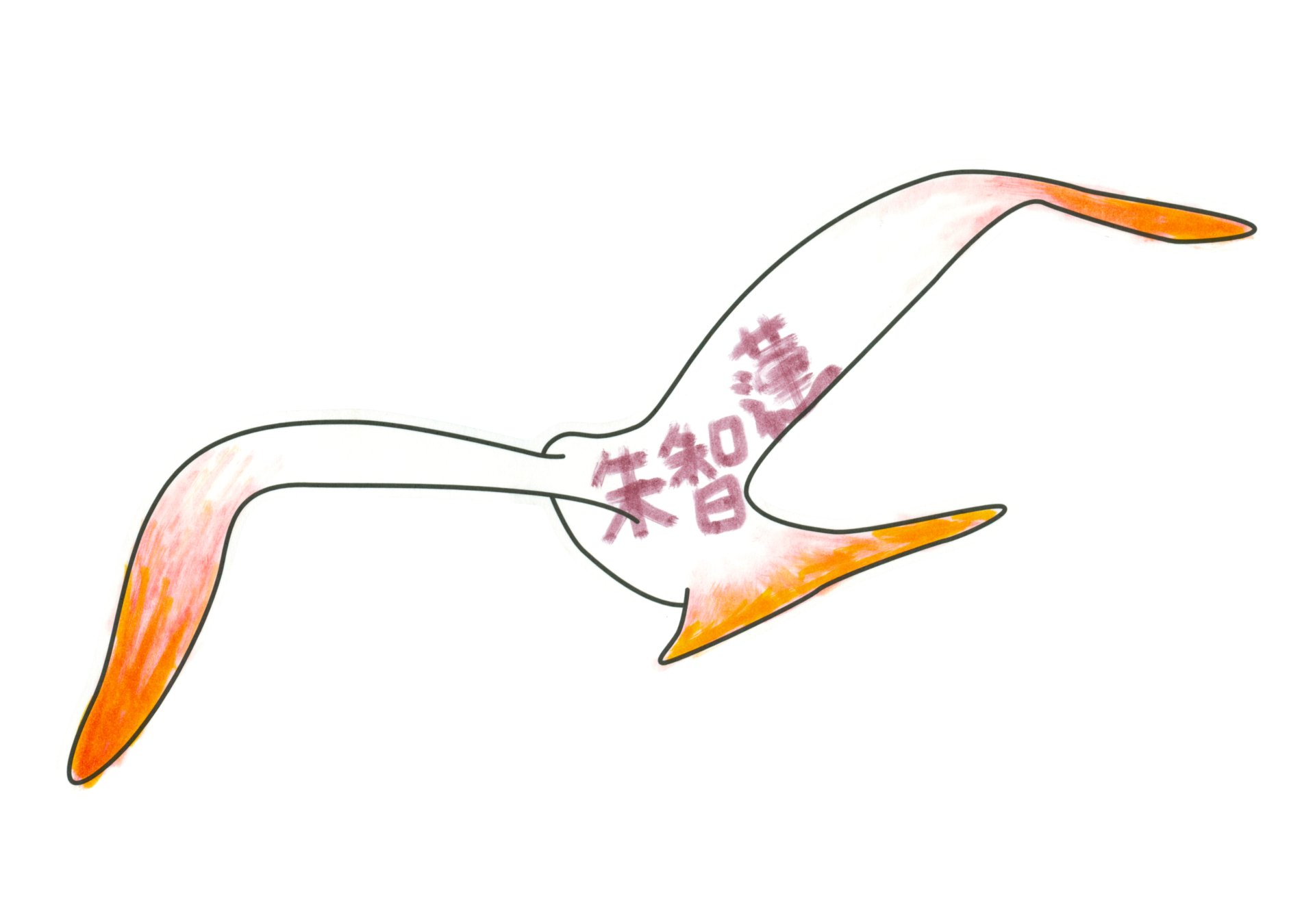 自由飛翔的天氣鳥