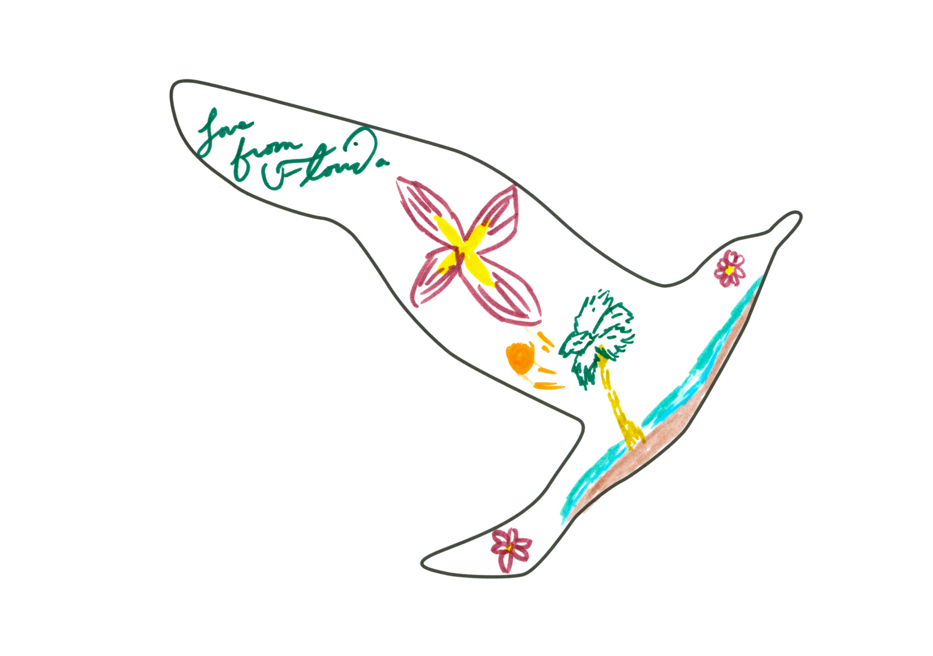 11782 自由飛翔的天氣鳥
