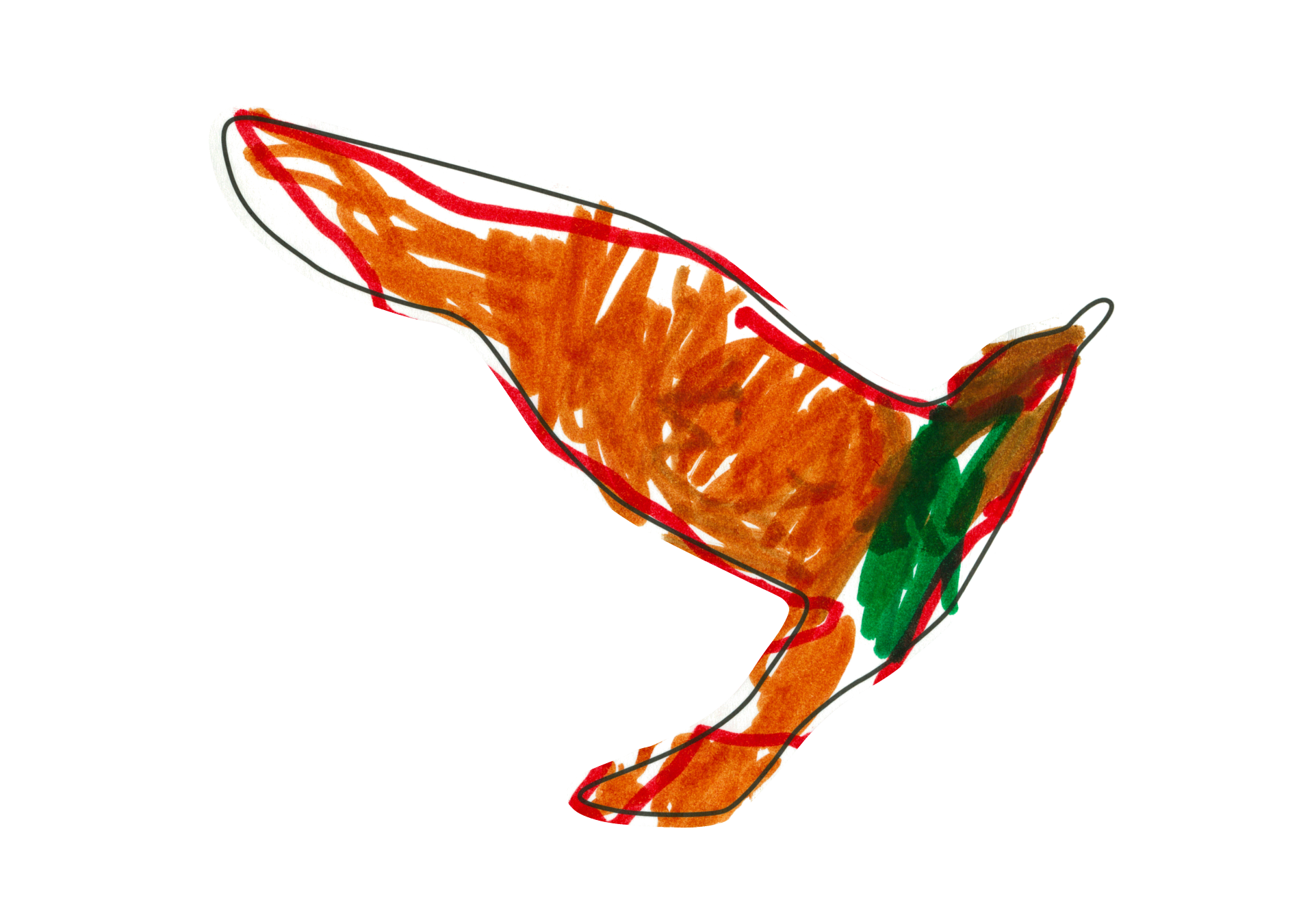 11785 自由飛翔的天氣鳥