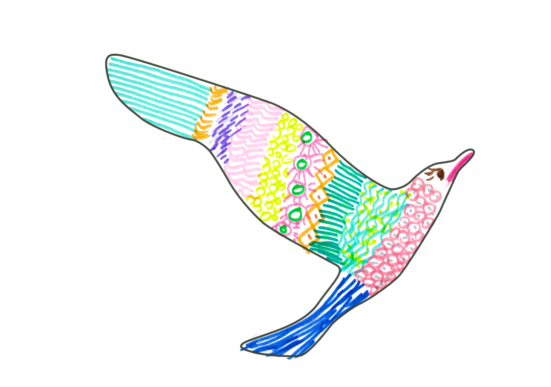 11788 自由飛翔的天氣鳥