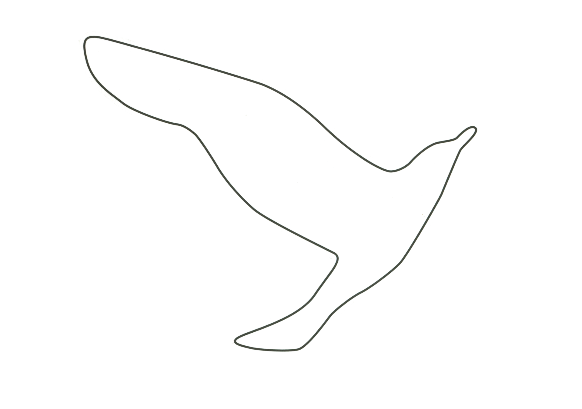 12085 自由飛翔的天氣鳥