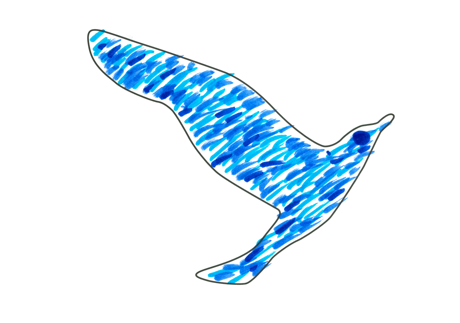 12134 自由飛翔的天氣鳥