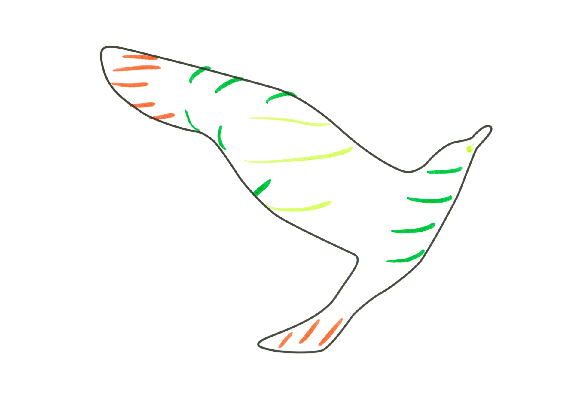 12197 自由飛翔的天氣鳥