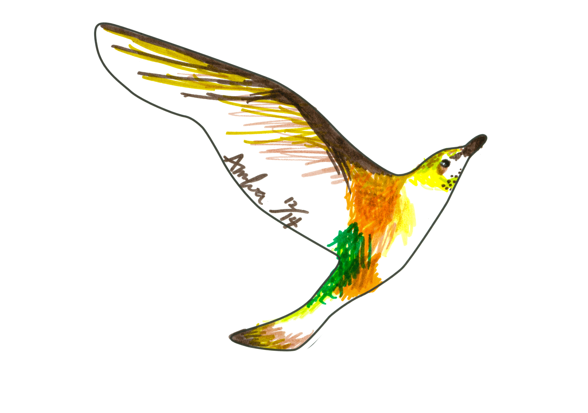 12221 自由飛翔的天氣鳥