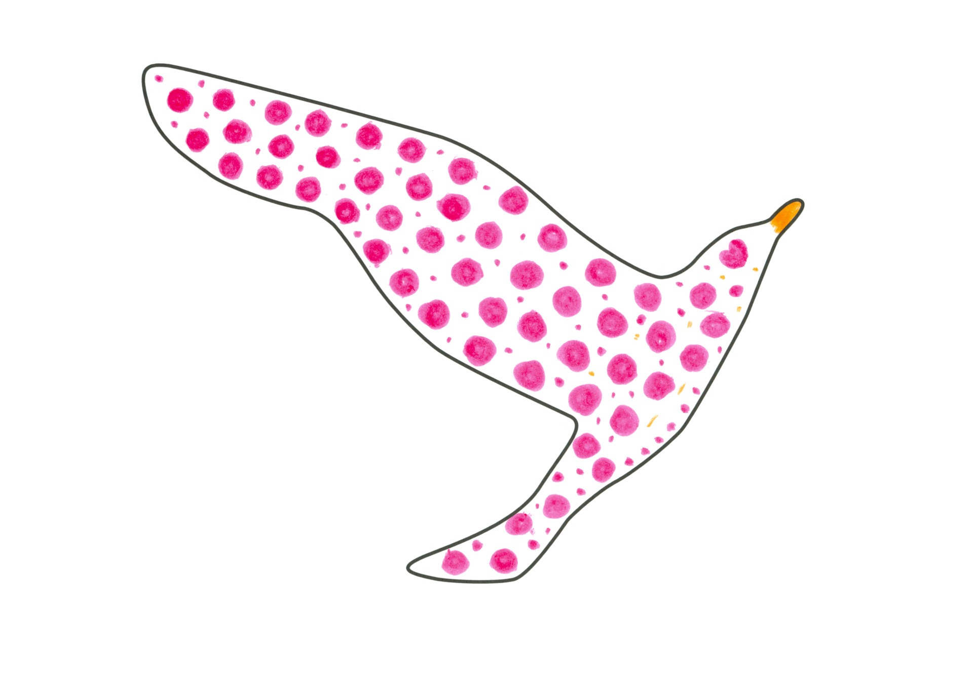 12237 自由飛翔的天氣鳥