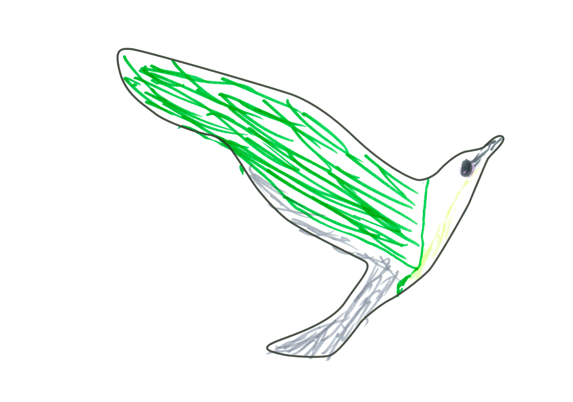 12252 自由飛翔的天氣鳥