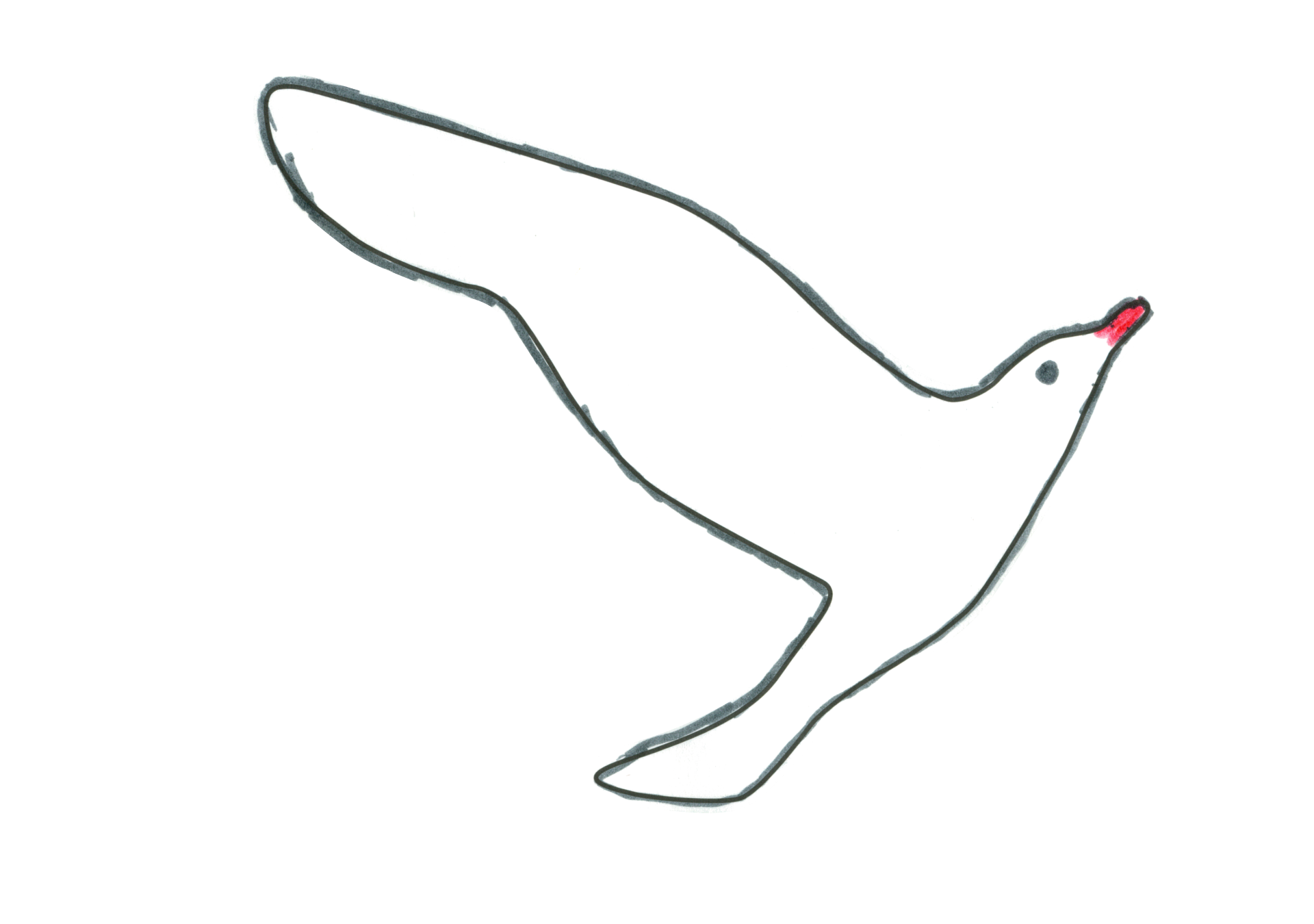 12258 自由飛翔的天氣鳥