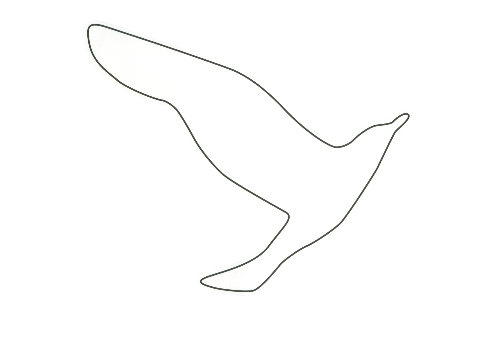 12262 自由飛翔的天氣鳥