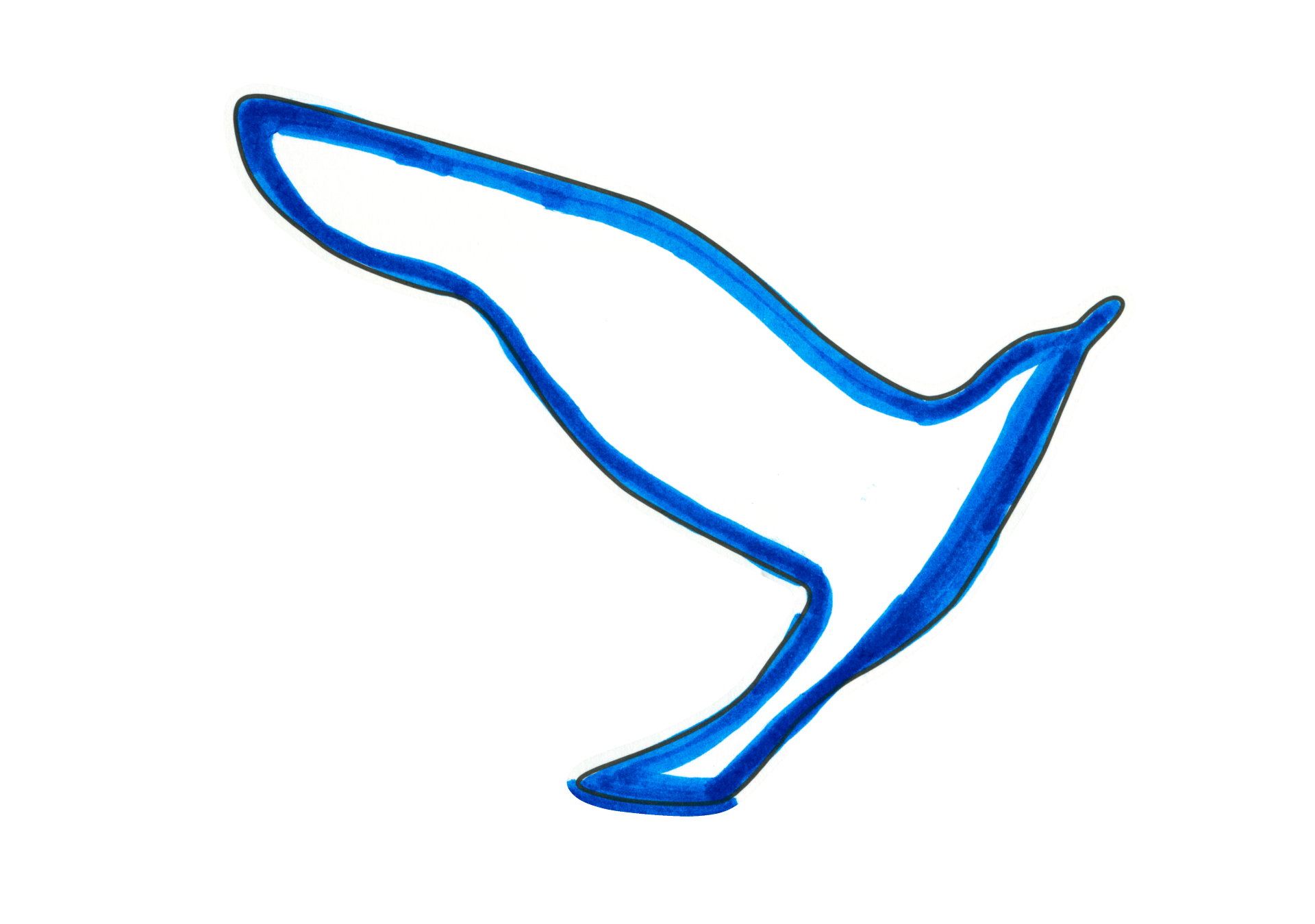 12269 自由飛翔的天氣鳥