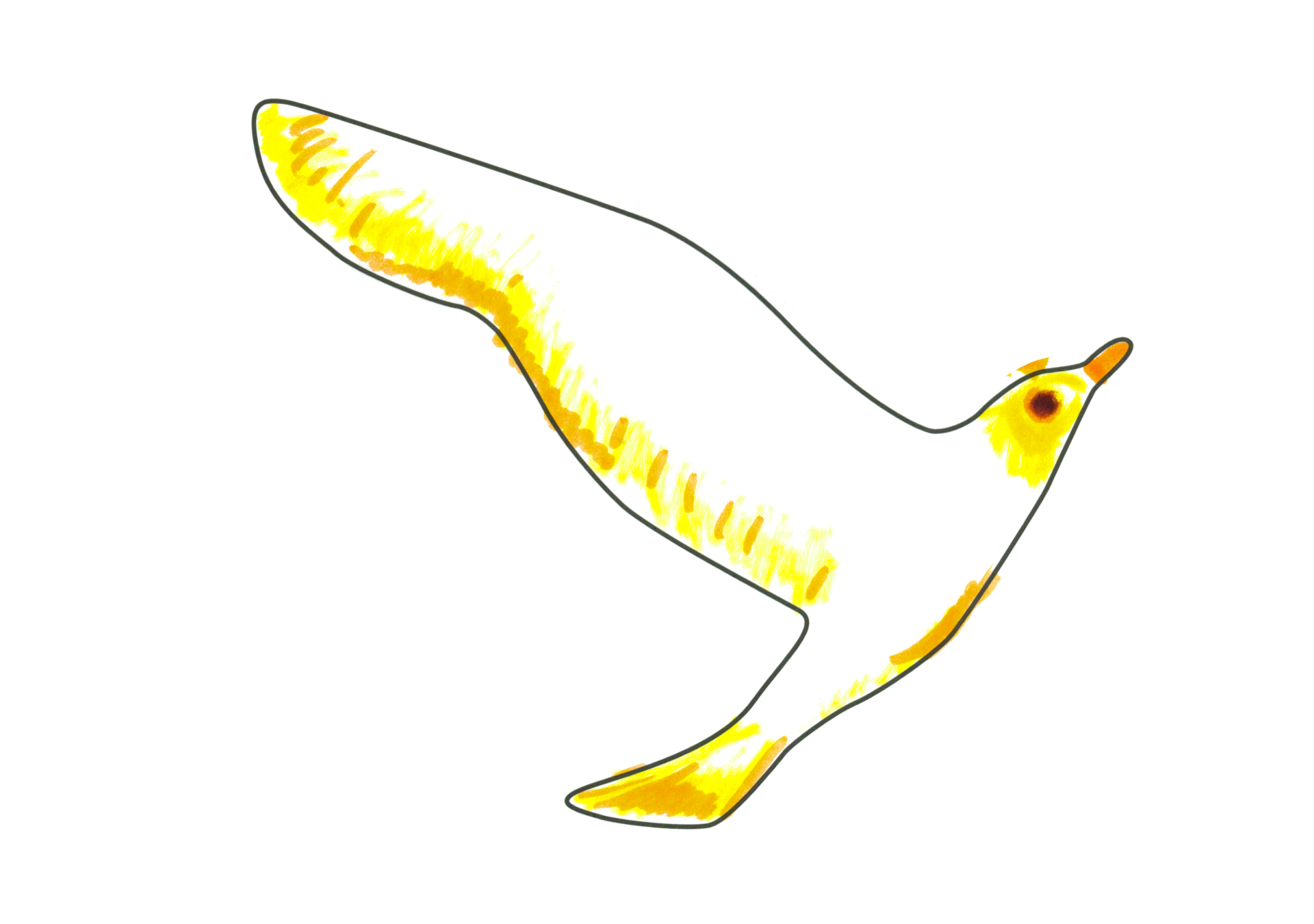 12283 自由飛翔的天氣鳥